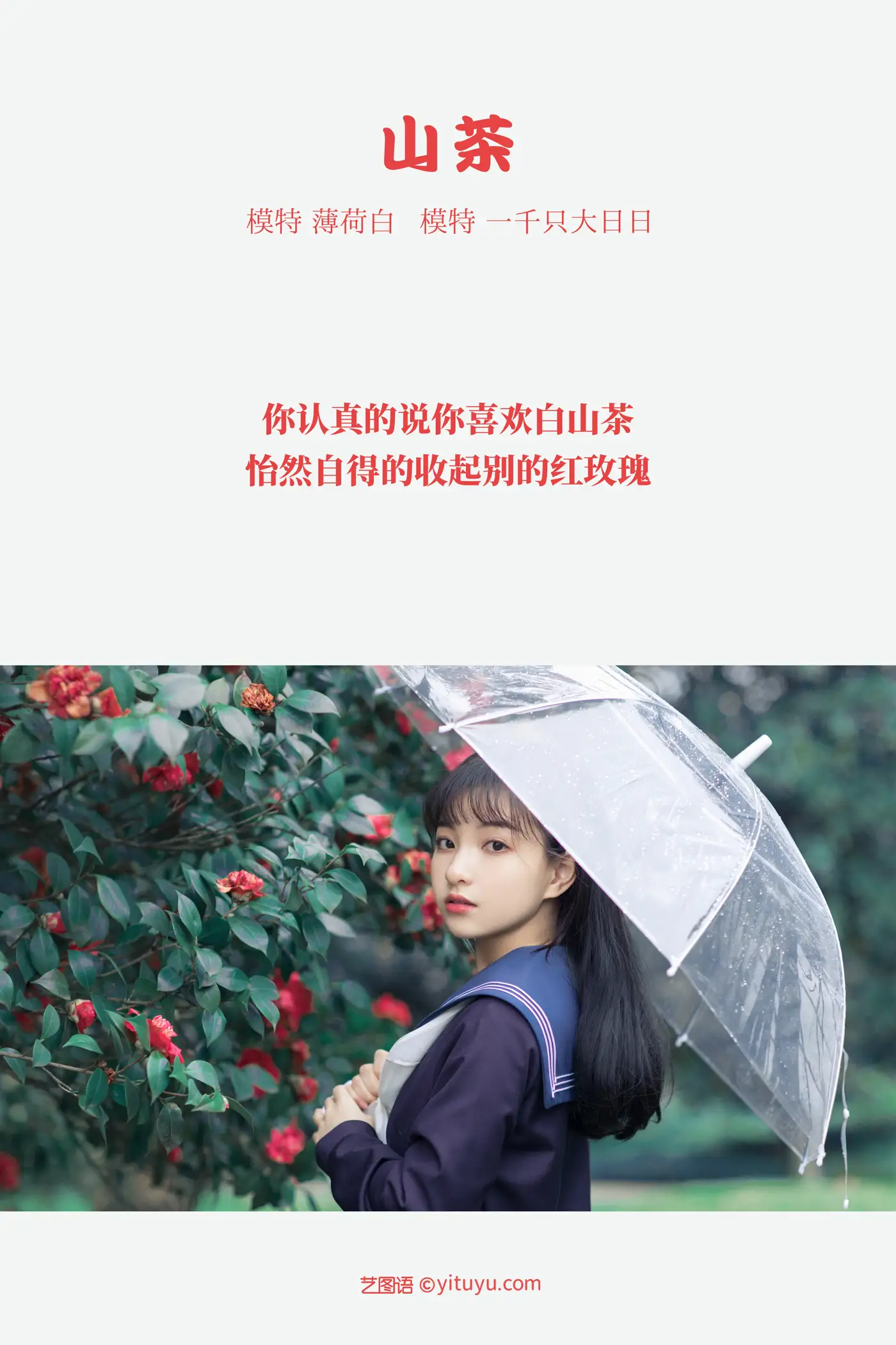 [艺图语] 2021.10.19 Vol.372 – 山茶 一千只大日日#[18P]-2