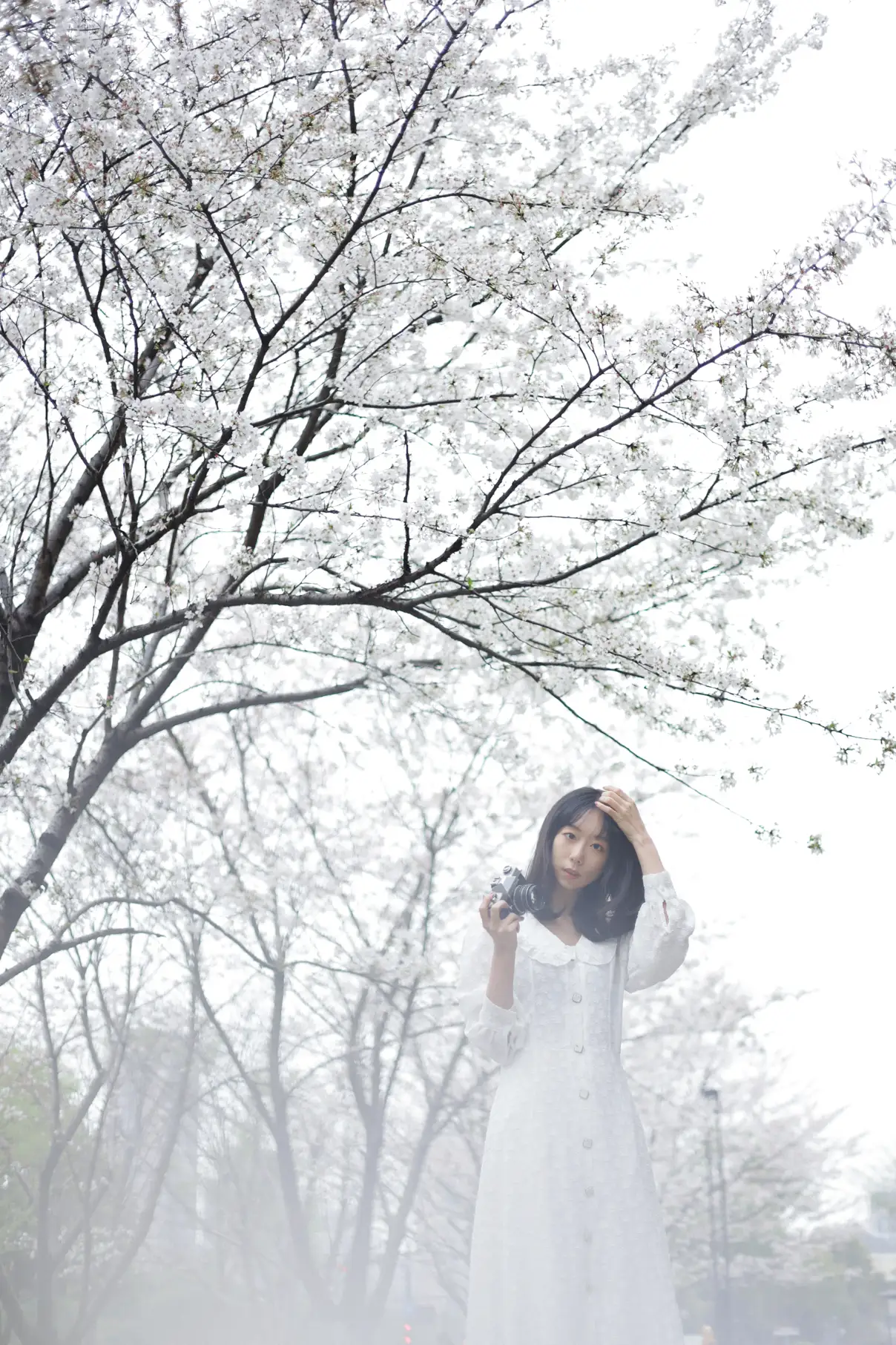 [艺图语] 2022.07.04 Vol.1370 – 白色花语 孟商一#[26P]-1