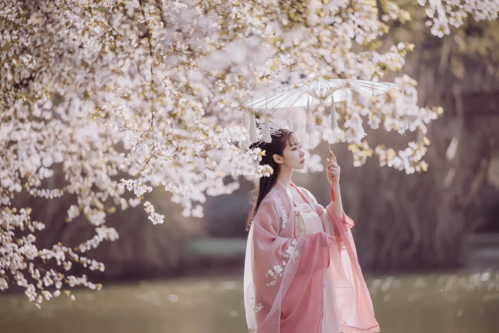 [艺图语] 2022.05.26 Vol.0993 – 香雪海 木景抒#[25P]-10
