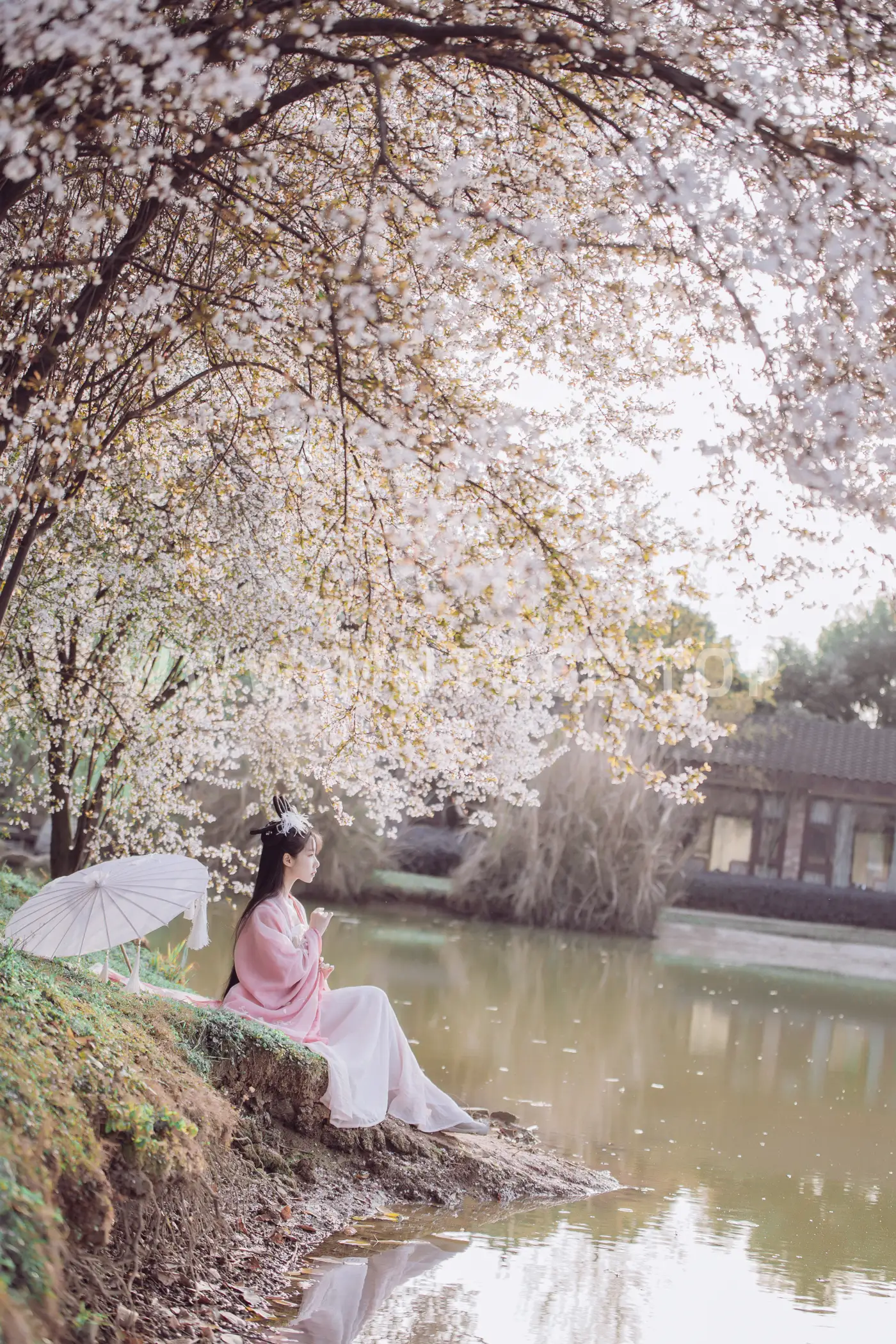 [艺图语] 2022.05.26 Vol.0993 – 香雪海 木景抒#[25P]-4