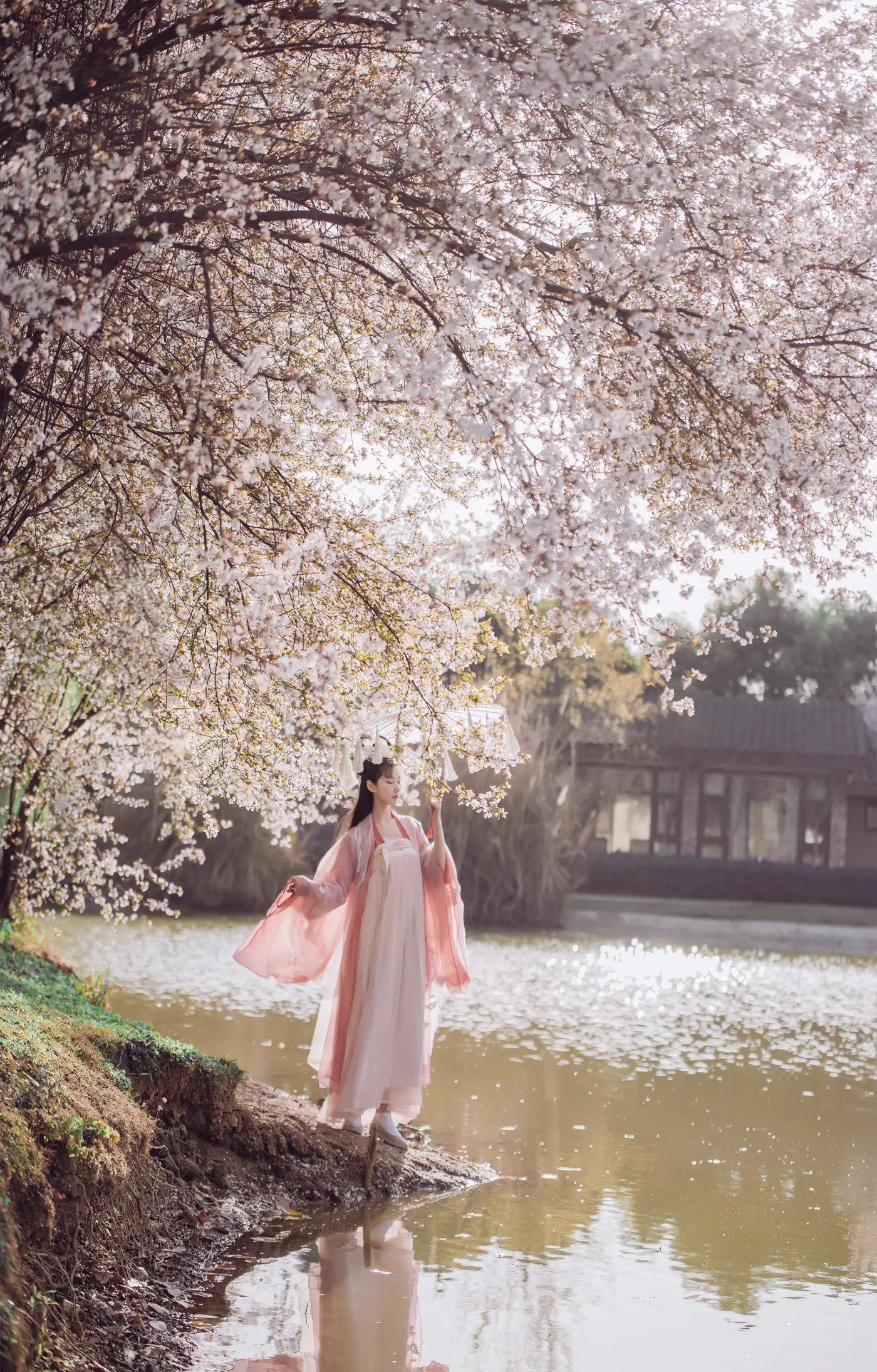 [艺图语] 2022.05.26 Vol.0993 – 香雪海 木景抒#[25P]-8
