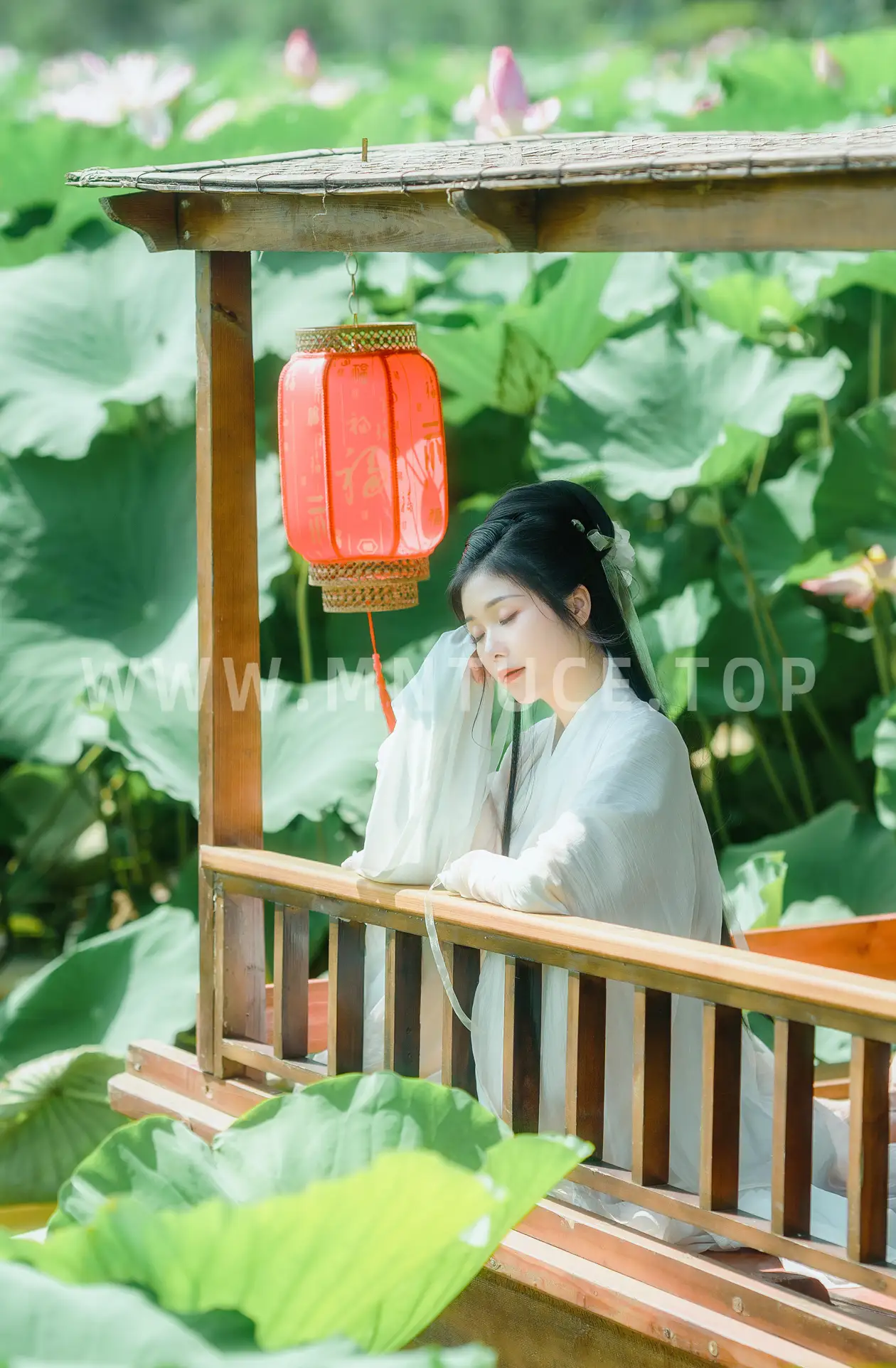 [艺图语] 2022.08.23 Vol.1772 – 花开盛夏 墨墨#[22P]-8