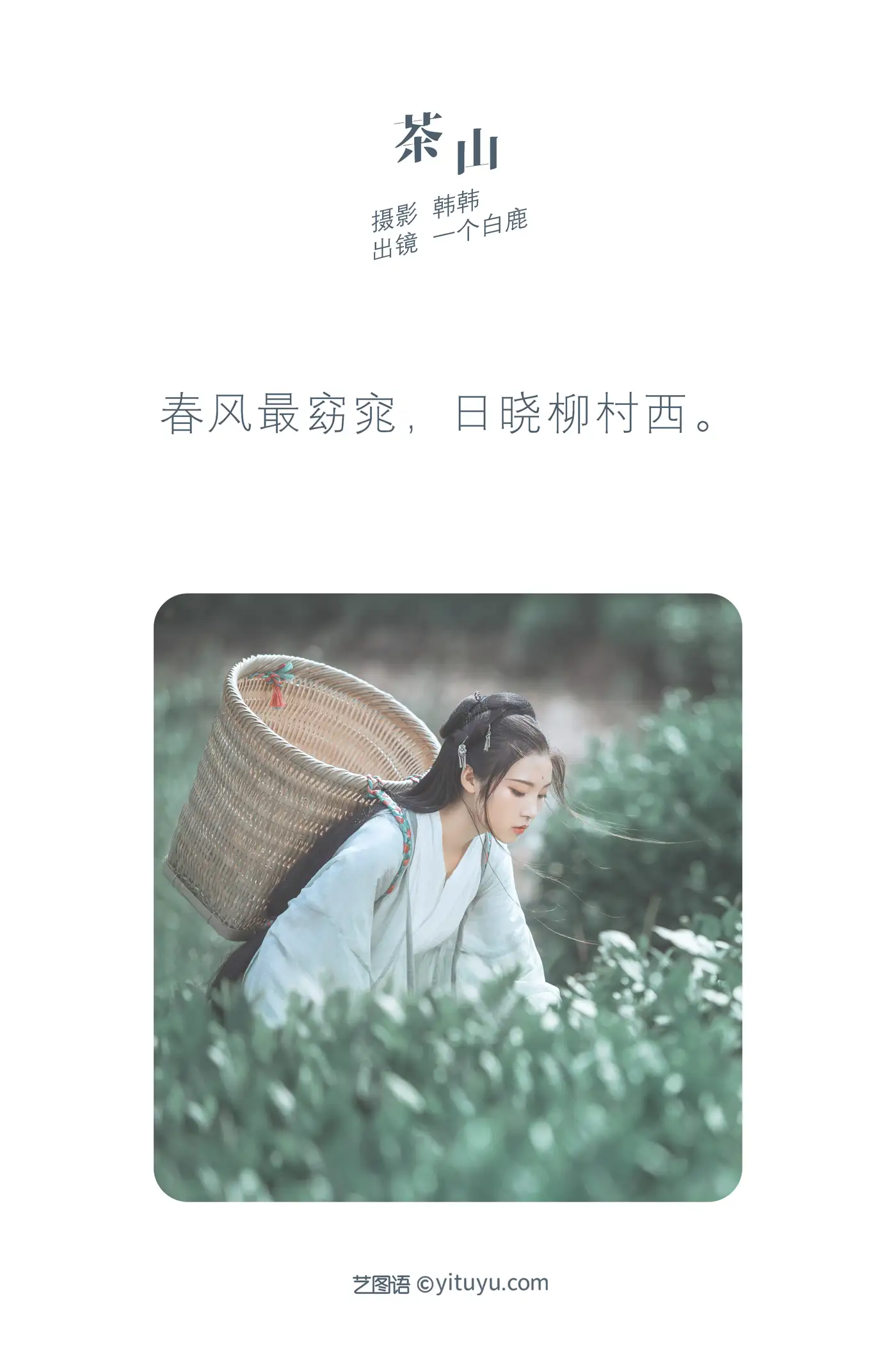 [艺图语] 2022.05.26 Vol.0986 – 茶山 一个白鹿#[32P]-2
