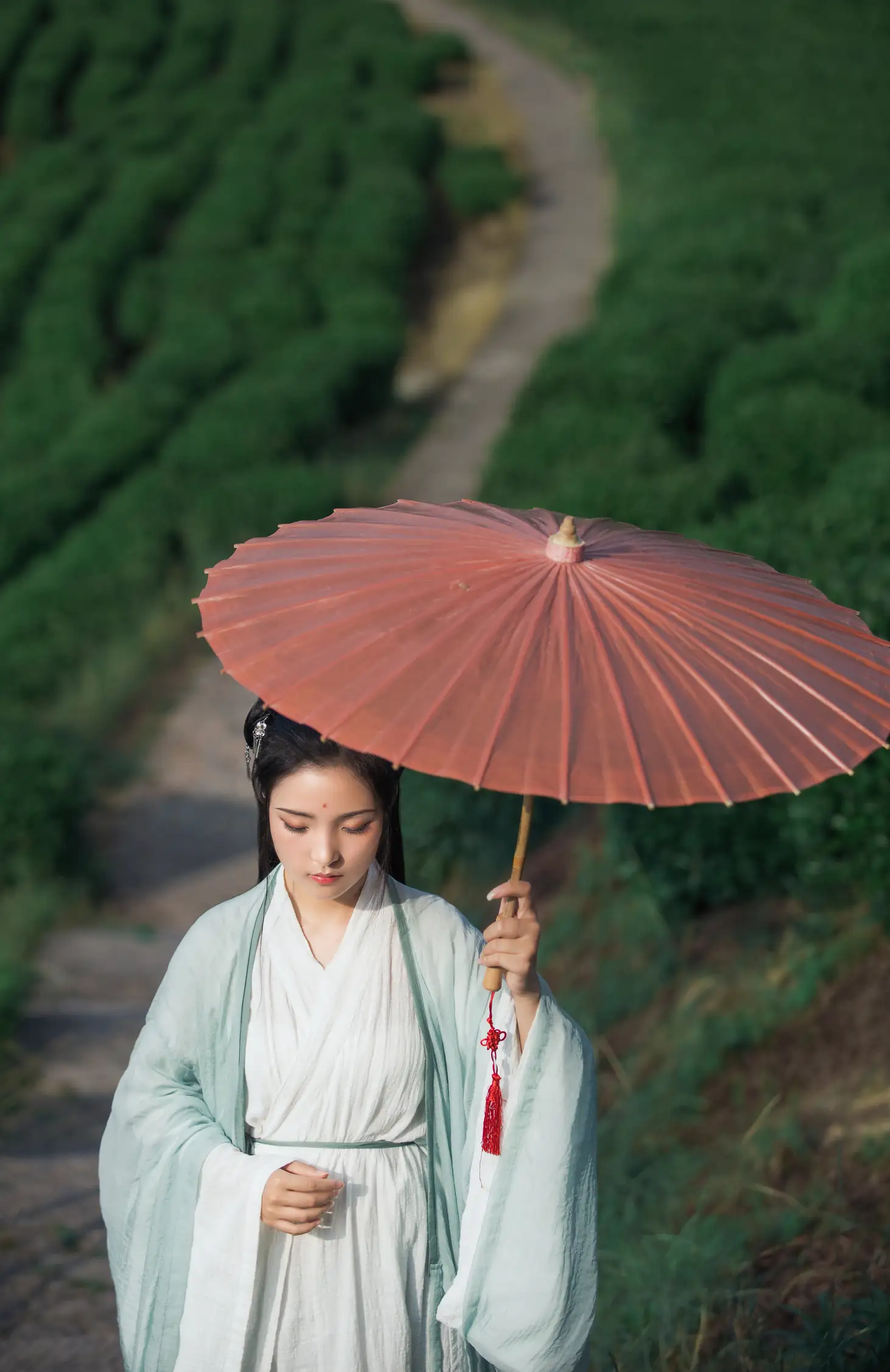 [艺图语] 2022.05.26 Vol.0986 – 茶山 一个白鹿#[32P]-9
