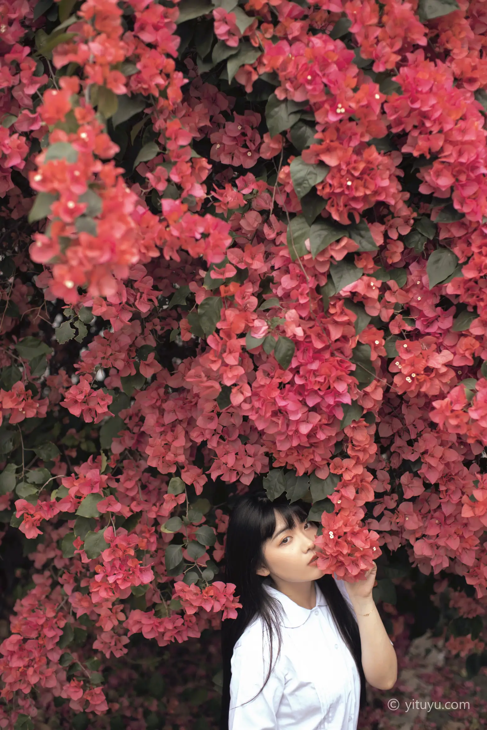 [艺图语] 2021.04.28 Vol.046 – 花季 黄子卿#[27P]-9