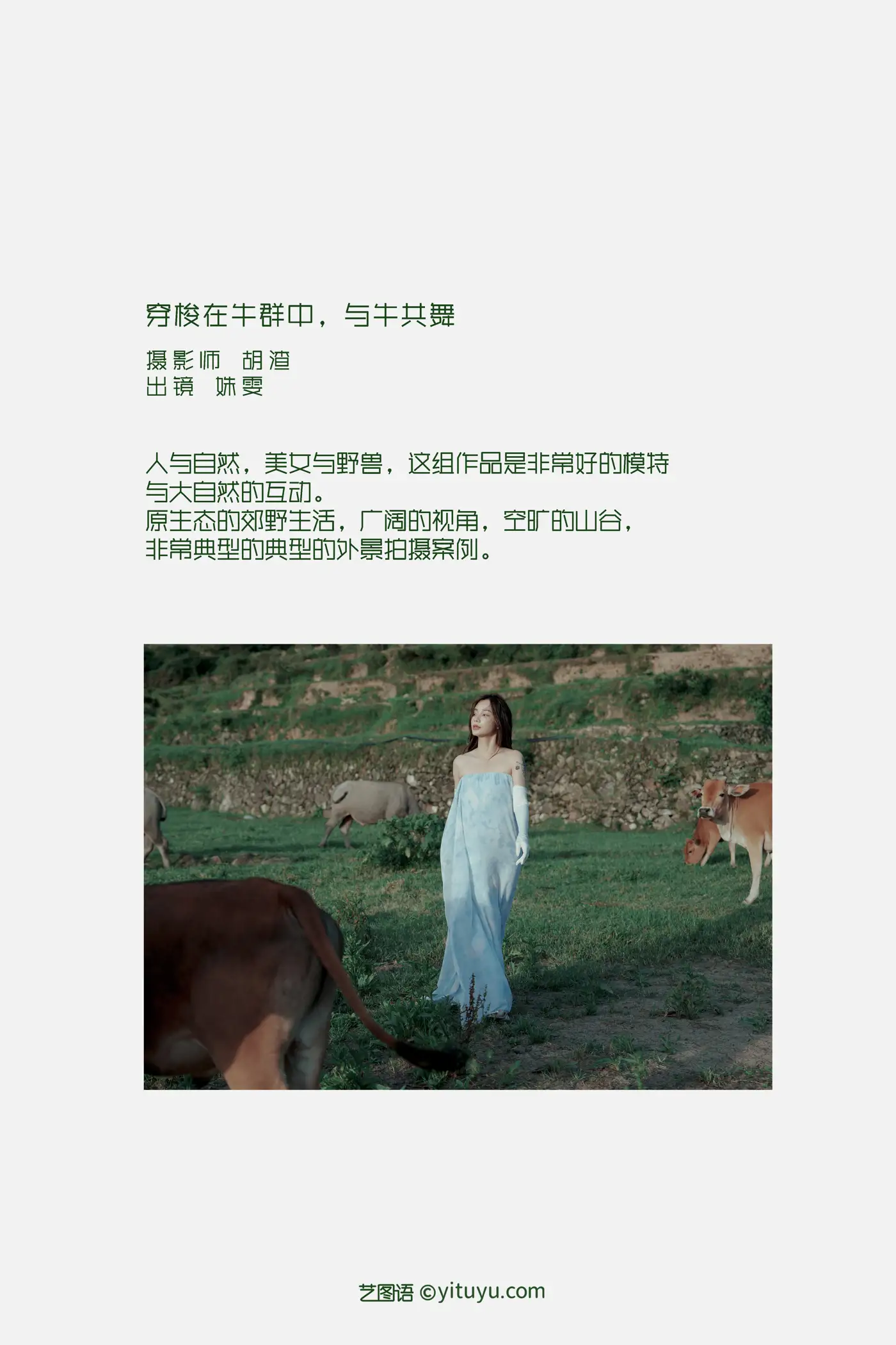 [艺图语] 2022.09.15 Vol.1953 – 穿梭在牛群中，与牛共舞 姝雯同学#[43P]-2