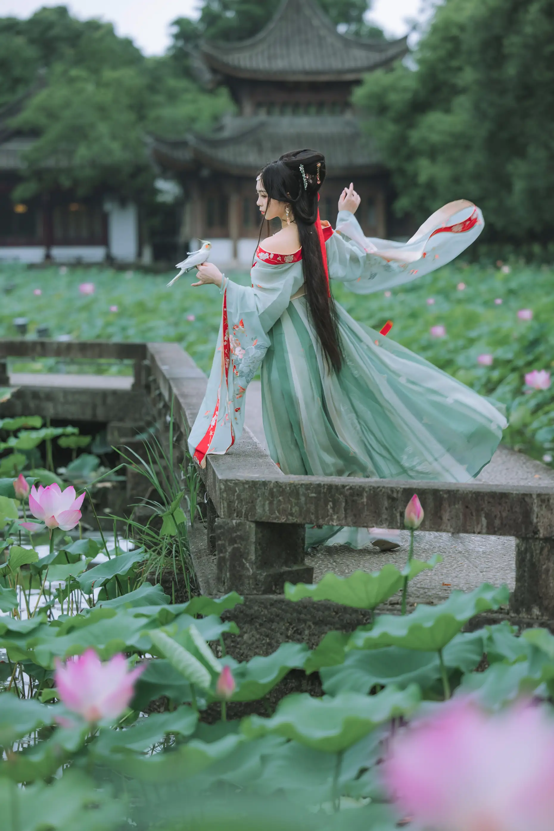[艺图语] 2022.08.13 Vol.1692 – 风荷举 阡墨红尘#[22P]-2
