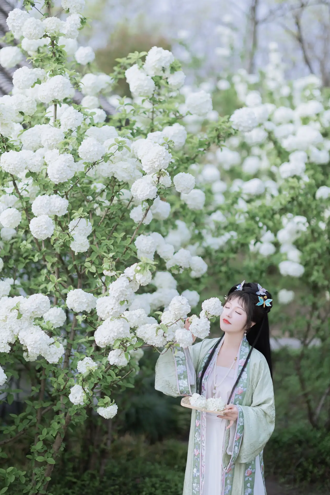 [艺图语] 2022.06.09 Vol.1129 – 探春 璐璐haley#[42P]-6