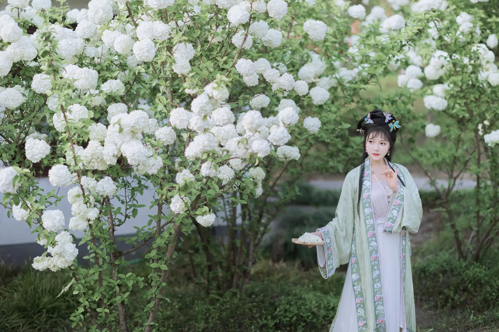 [艺图语] 2022.06.09 Vol.1129 – 探春 璐璐haley#[42P]-9