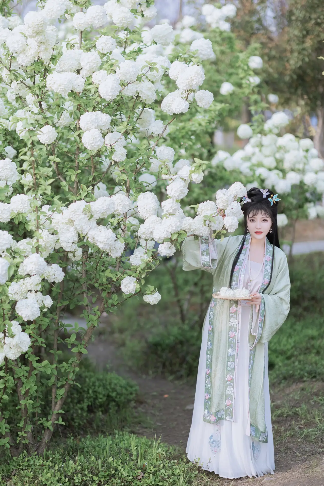 [艺图语] 2022.06.09 Vol.1129 – 探春 璐璐haley#[42P]-6