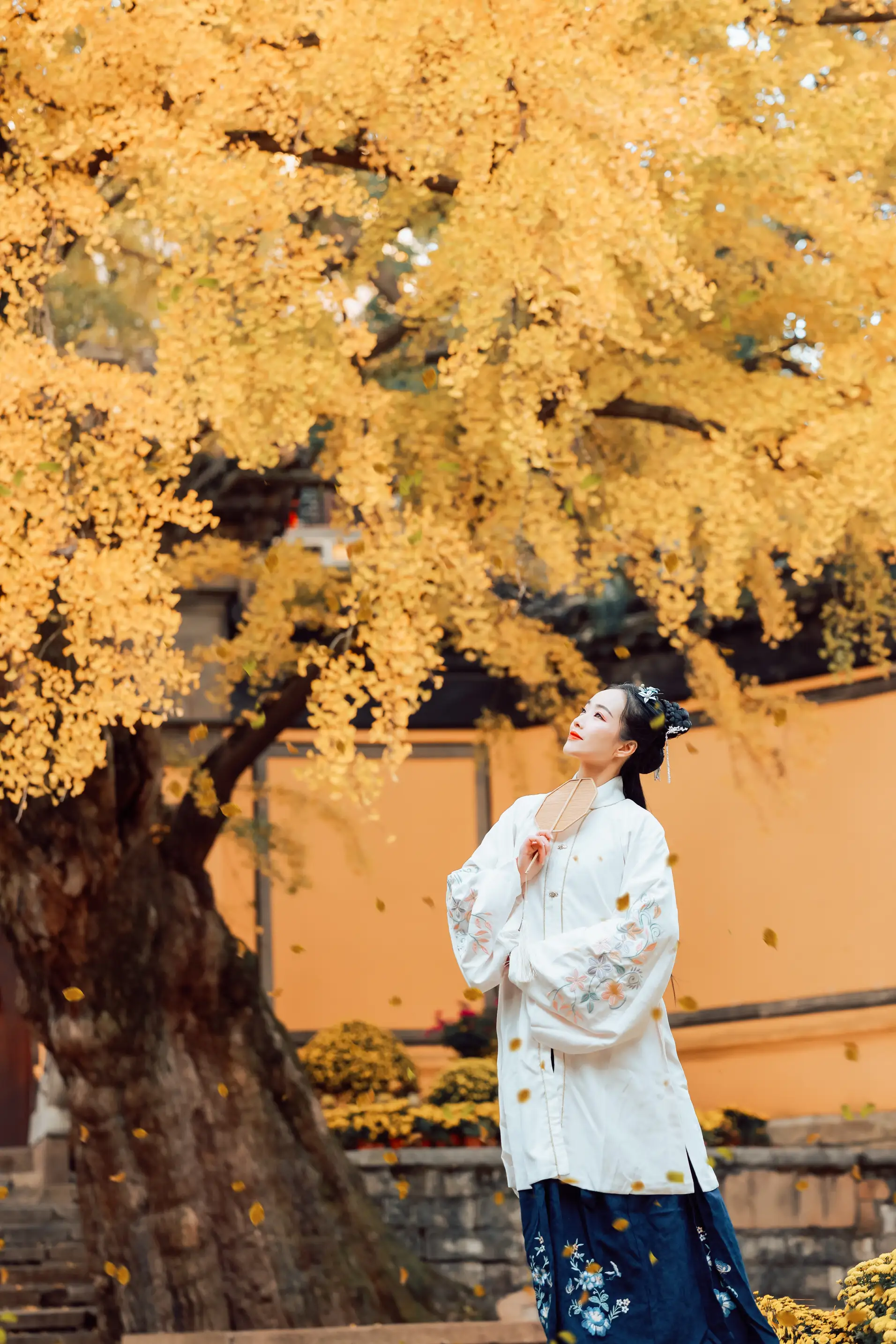 [艺图语] 2022.01.22 Vol.694 – 枫林晚 鹿呦#[25P]-6