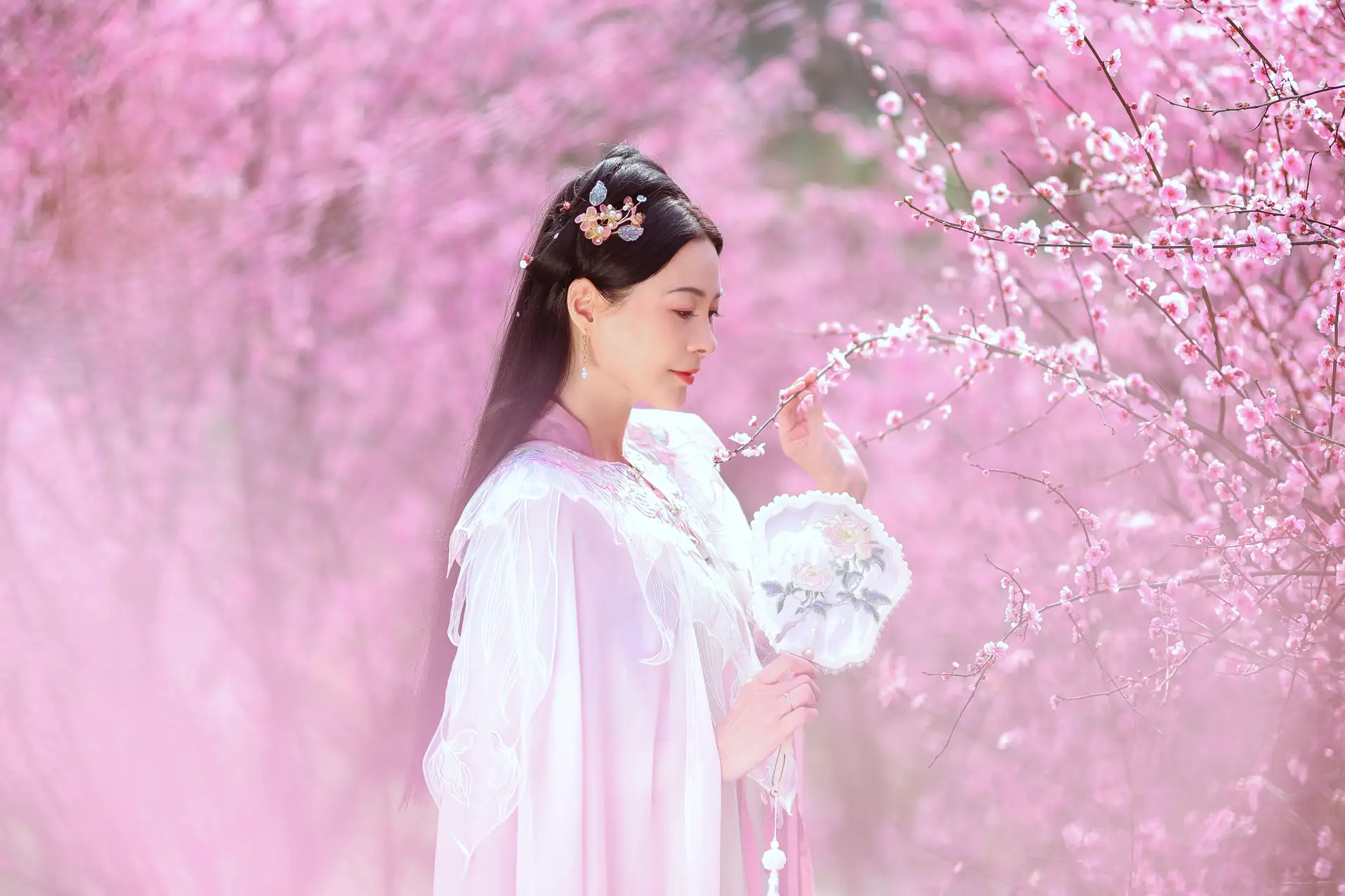 [艺图语] 2022.05.31 Vol.1043 – 暖春樱色 莲#[38P]-9