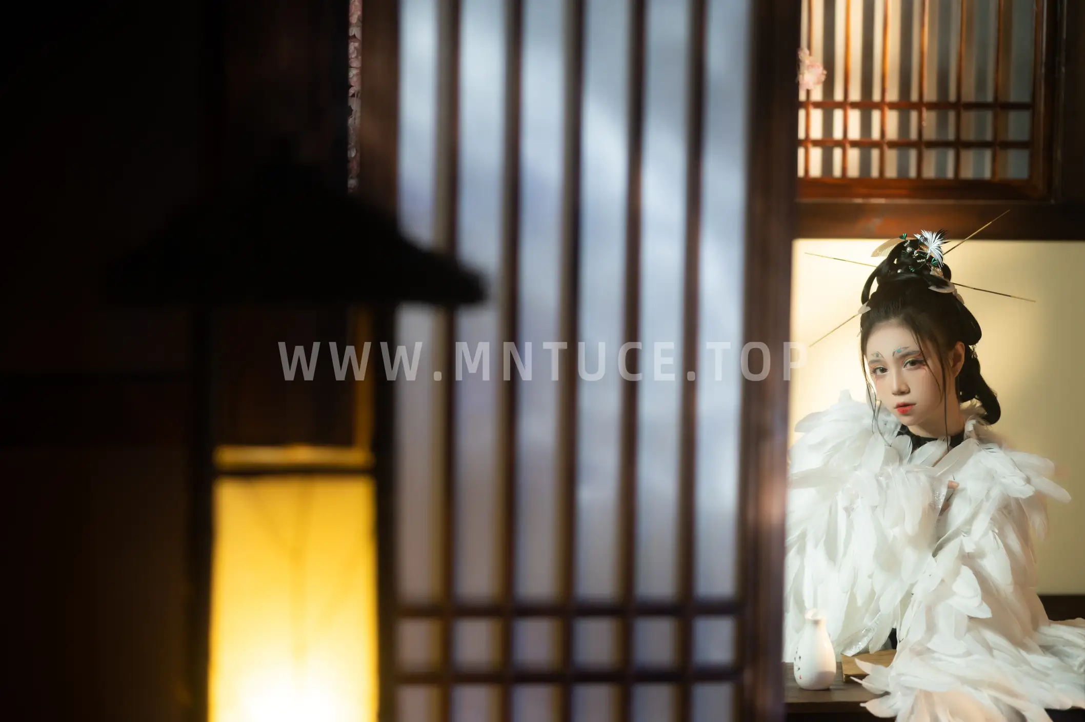 [艺图语] 2022.06.13 Vol.1172 – 重明鸟 贰加六#[40P]-4