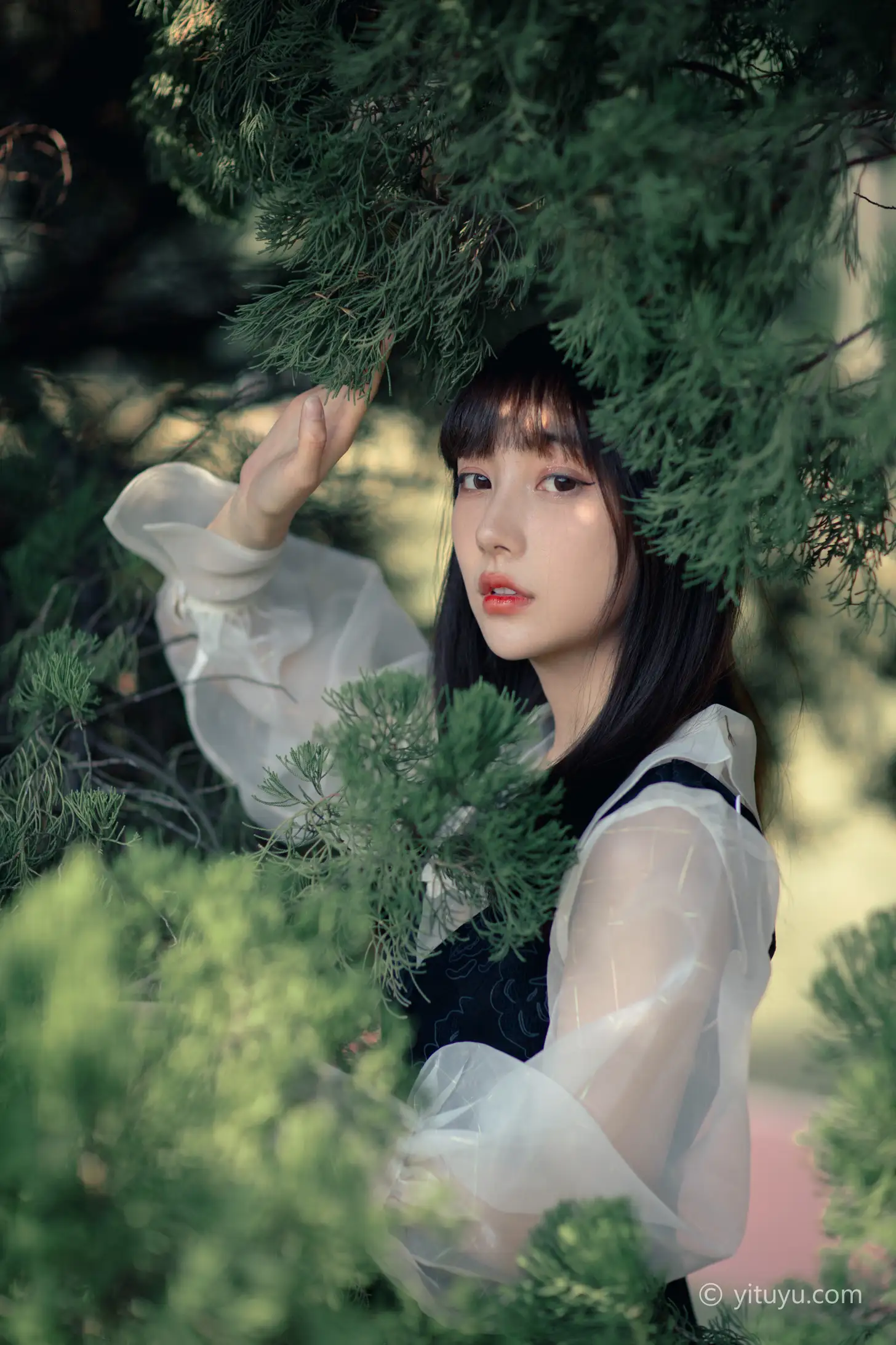 [艺图语] 2021.03.24 Vol.026 – 黑玫瑰 星星#[35P]-8