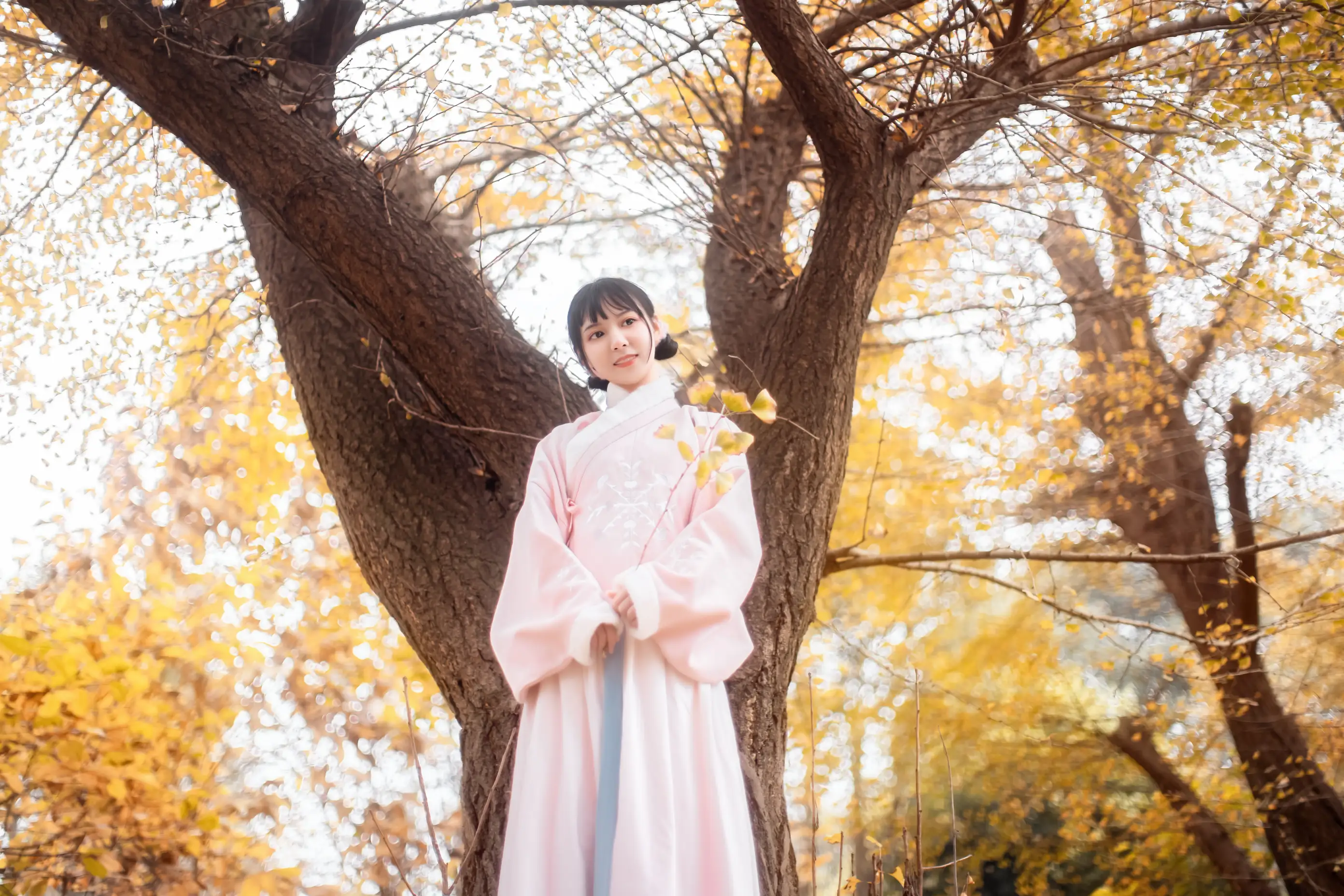 [艺图语] 2021.12.18 Vol.502 – 杏仙歌 李太白#[32P]-1