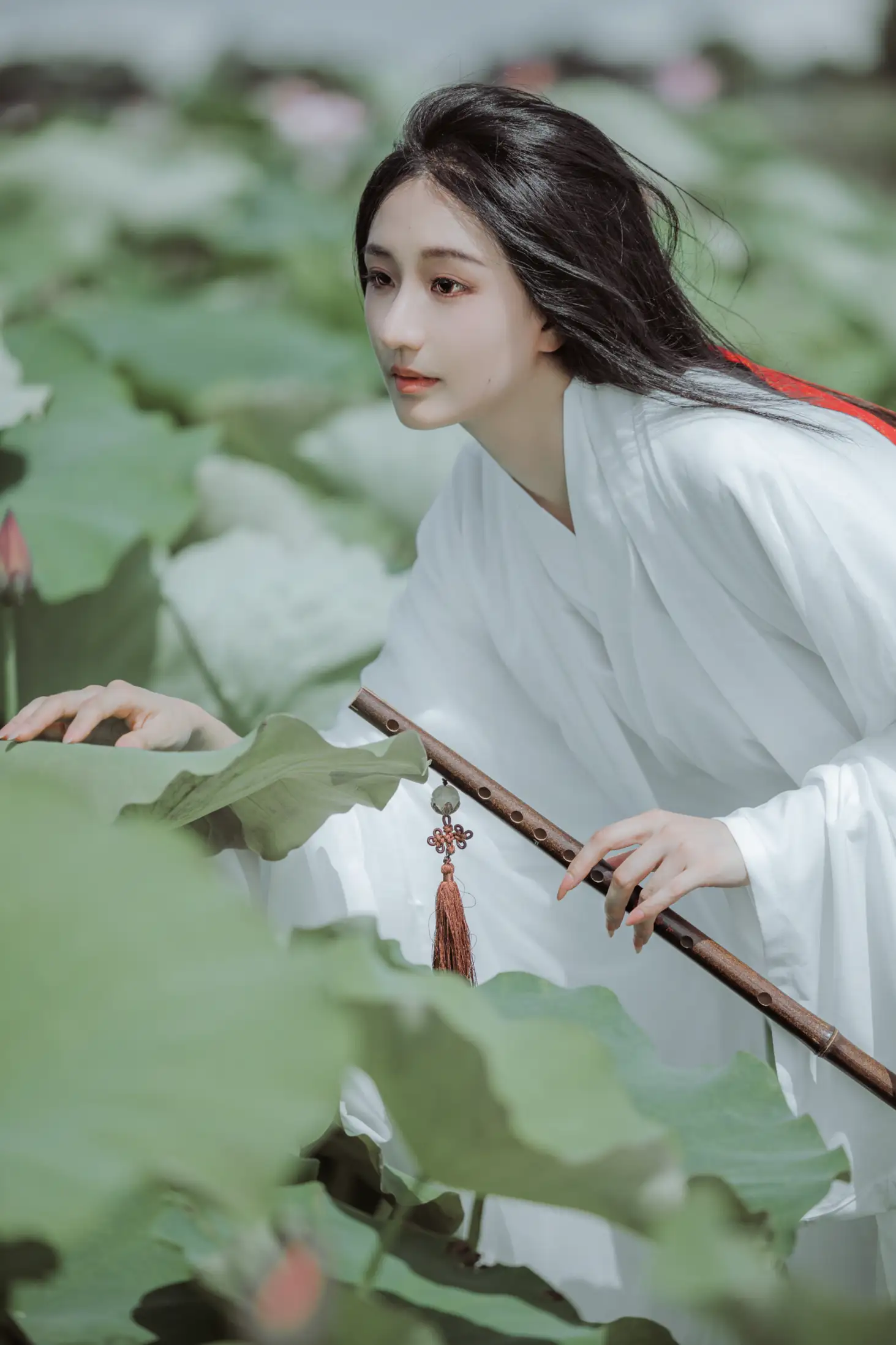 [艺图语] 2022.08.06 Vol.1638 – 荷花 柒苡安#[23P]-5