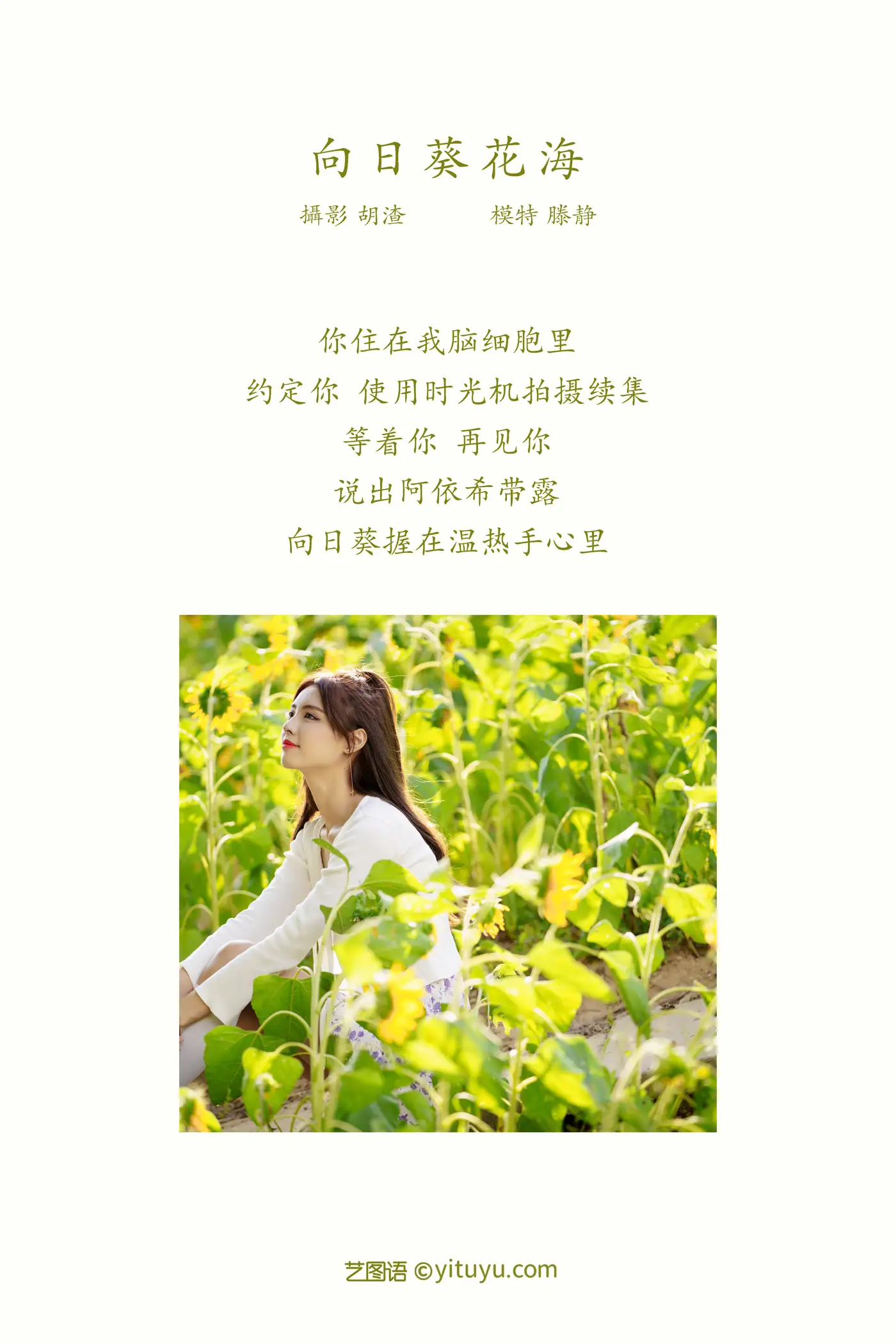 [艺图语] 2021.12.30 Vol.554 – 向日葵花海 滕静#[31P]-2