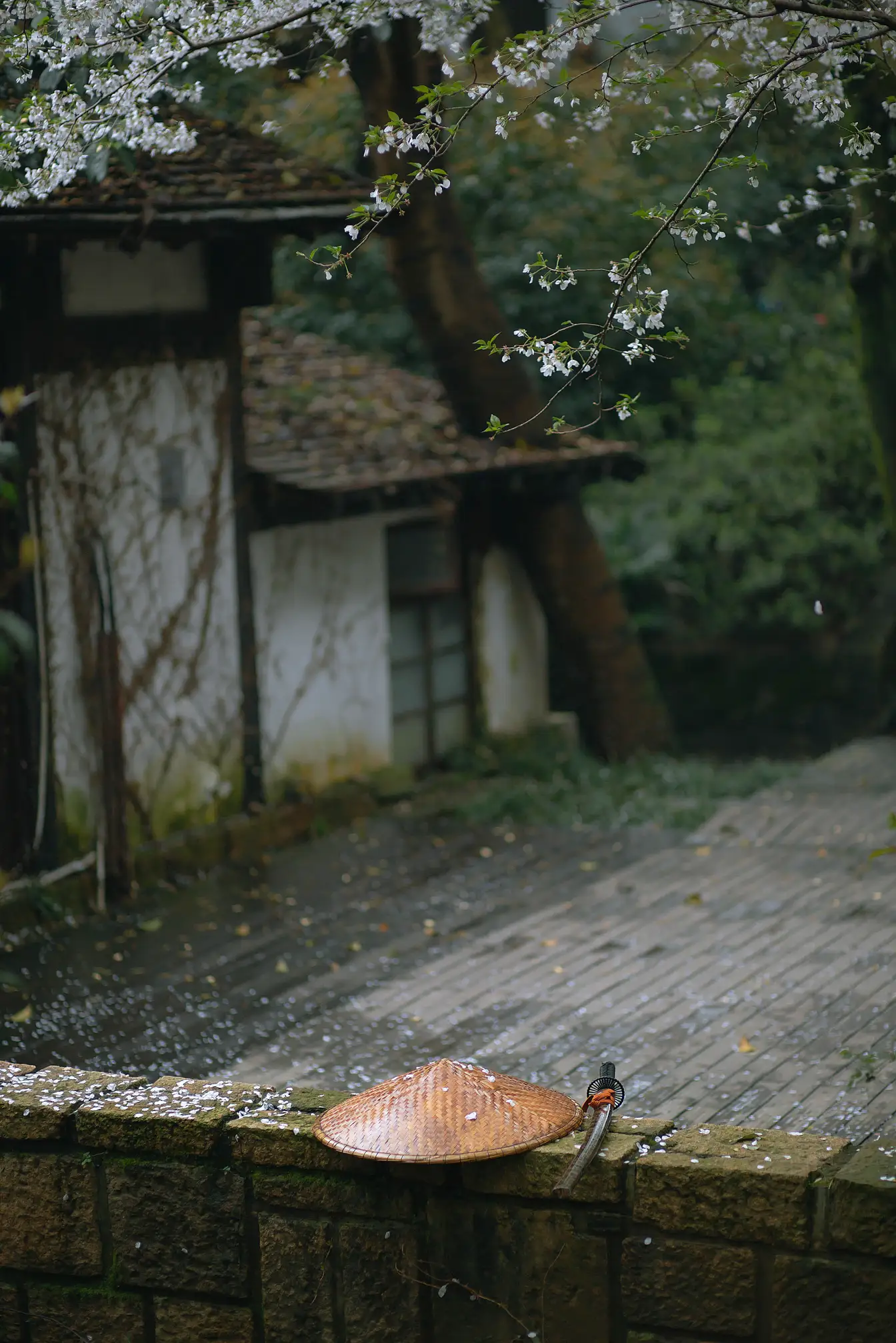 [艺图语] 2021.10.11 Vol.344 – 犬侍 老乔#[21P]-6