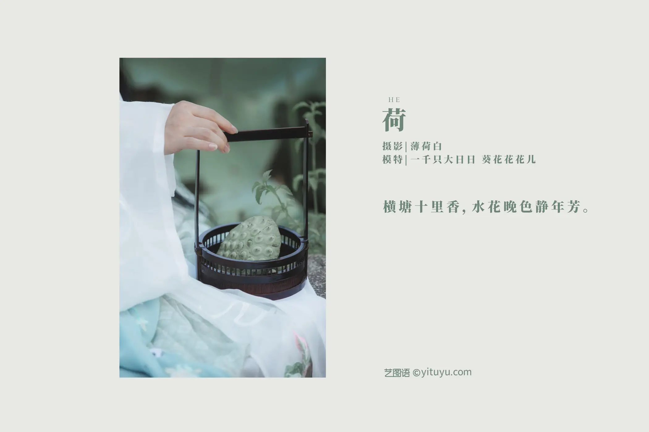 [艺图语] 2022.01.03 Vol.575 – 荷 葵花花花儿#[21P]-2