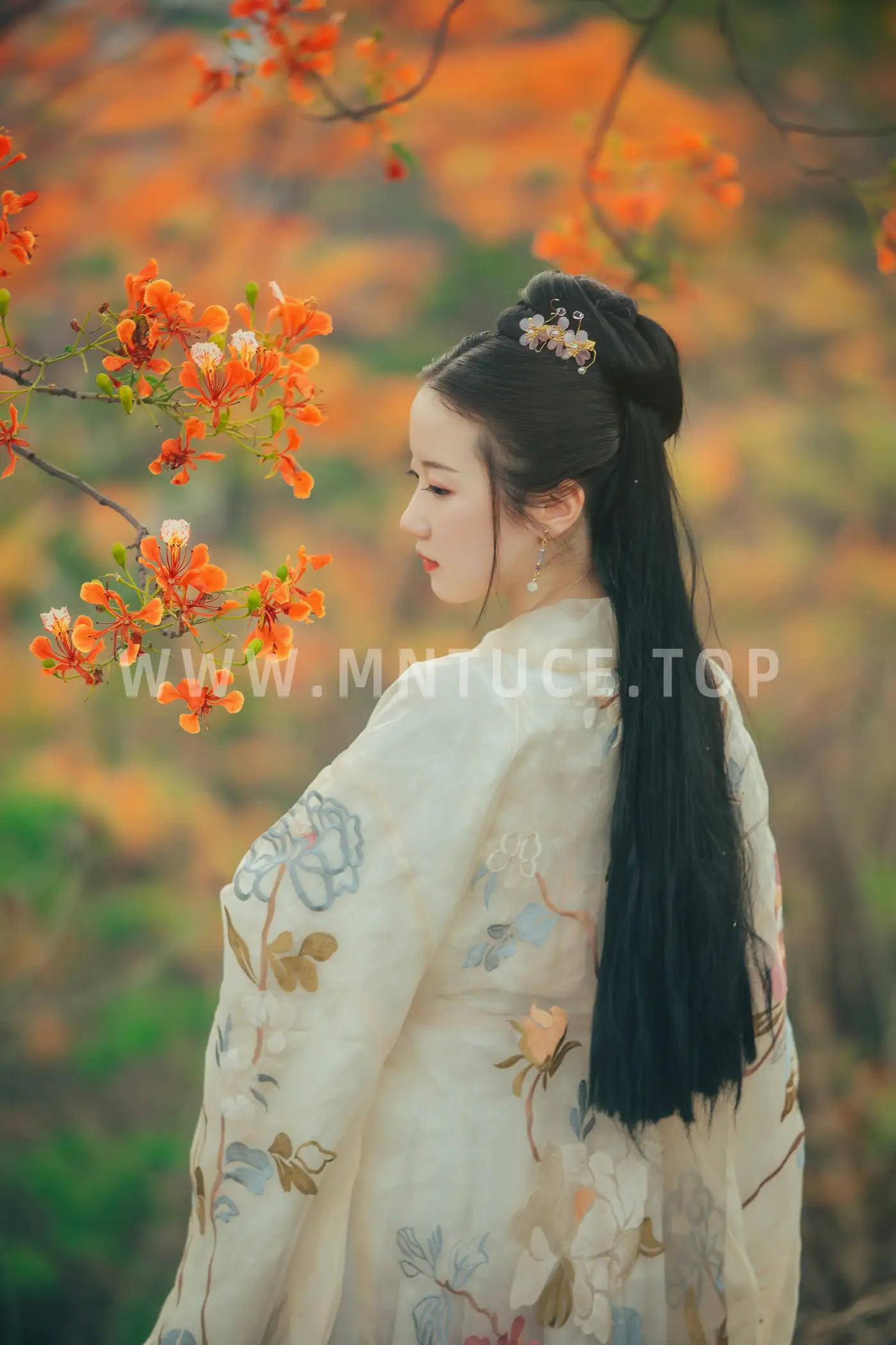 [艺图语] 2022.05.28 Vol.1010 – 凤凰花开 粥米饭#[26P]-4