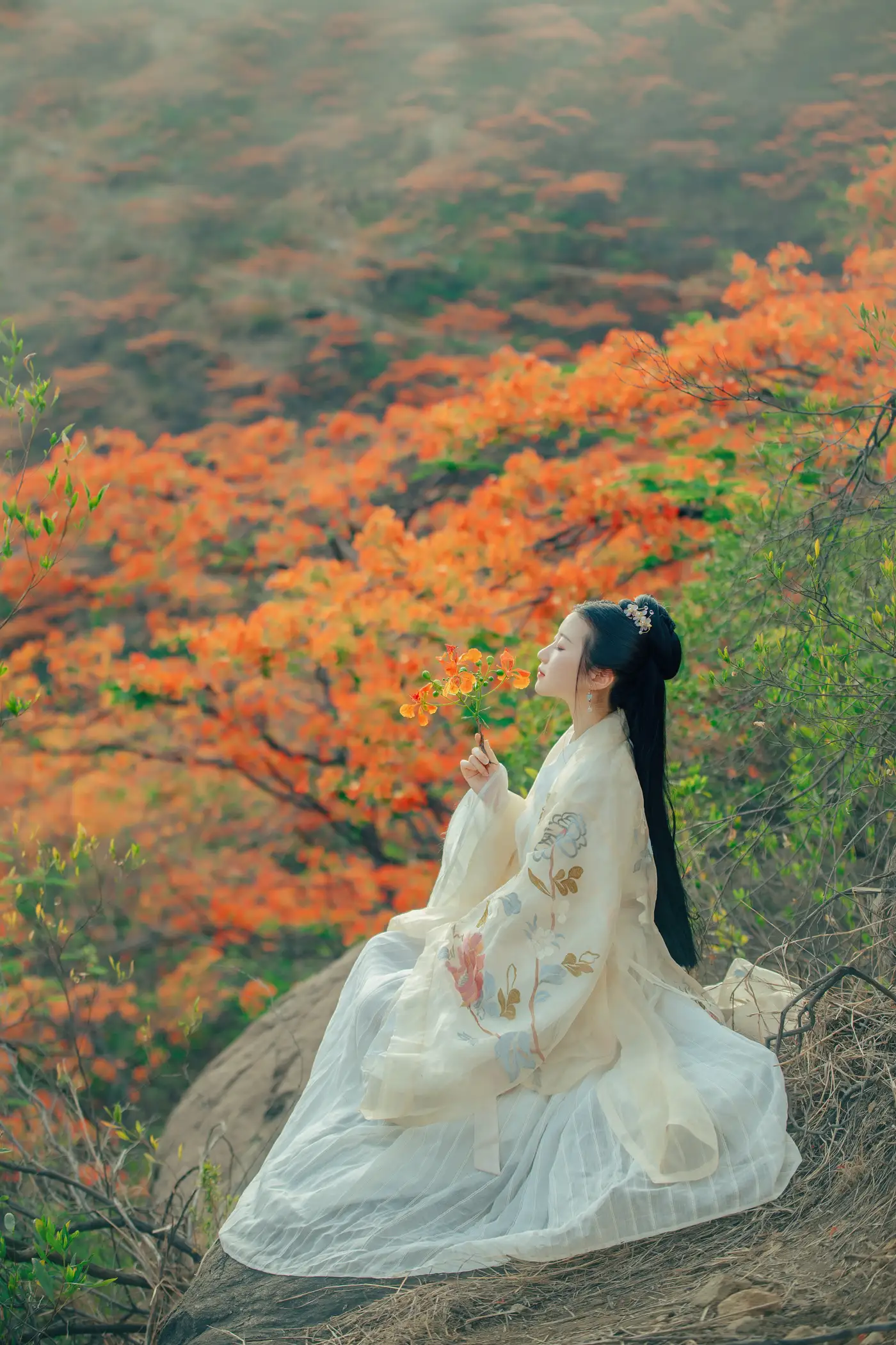 [艺图语] 2022.05.28 Vol.1010 – 凤凰花开 粥米饭#[26P]-1