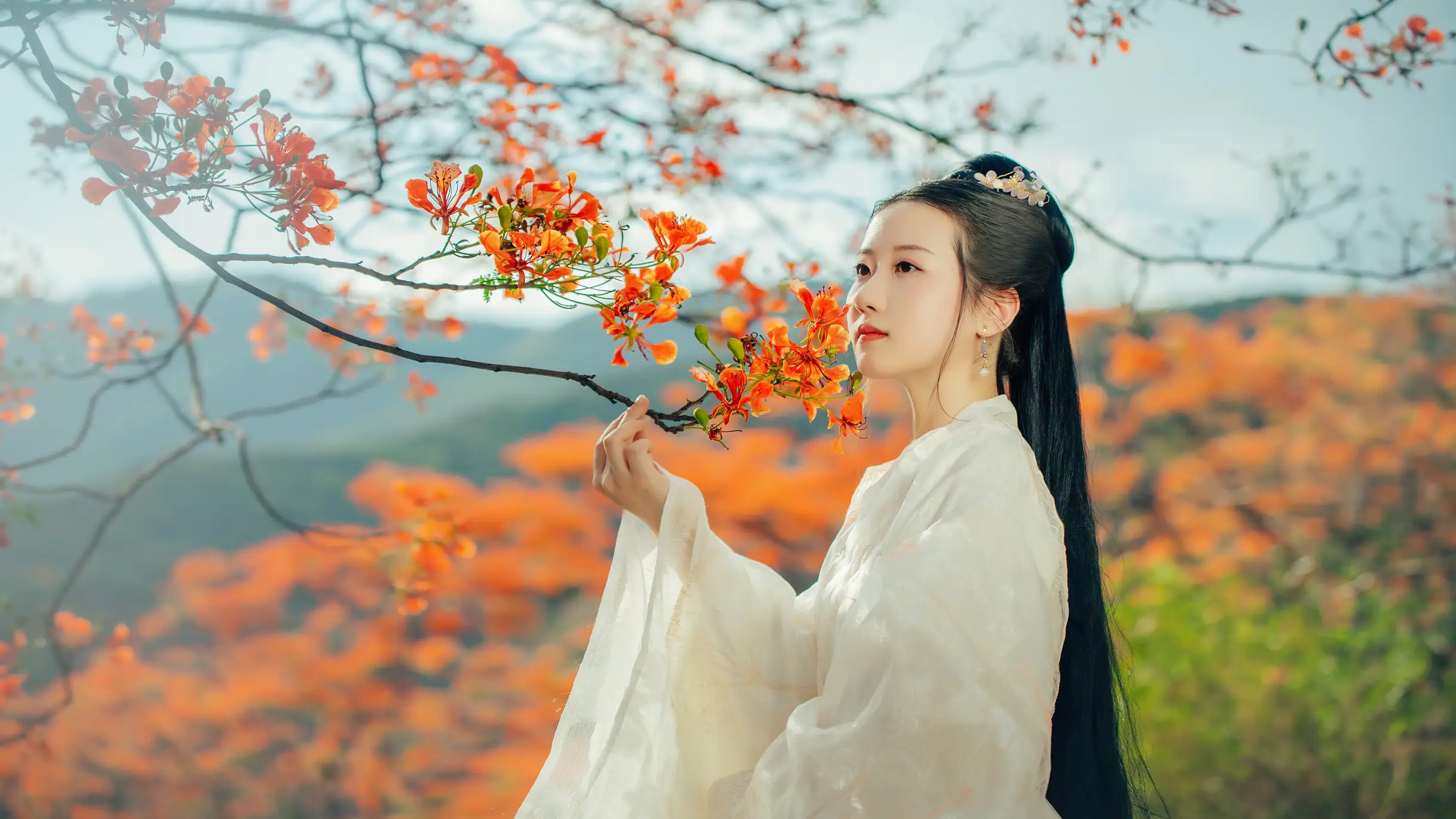 [艺图语] 2022.05.28 Vol.1010 – 凤凰花开 粥米饭#[26P]-4