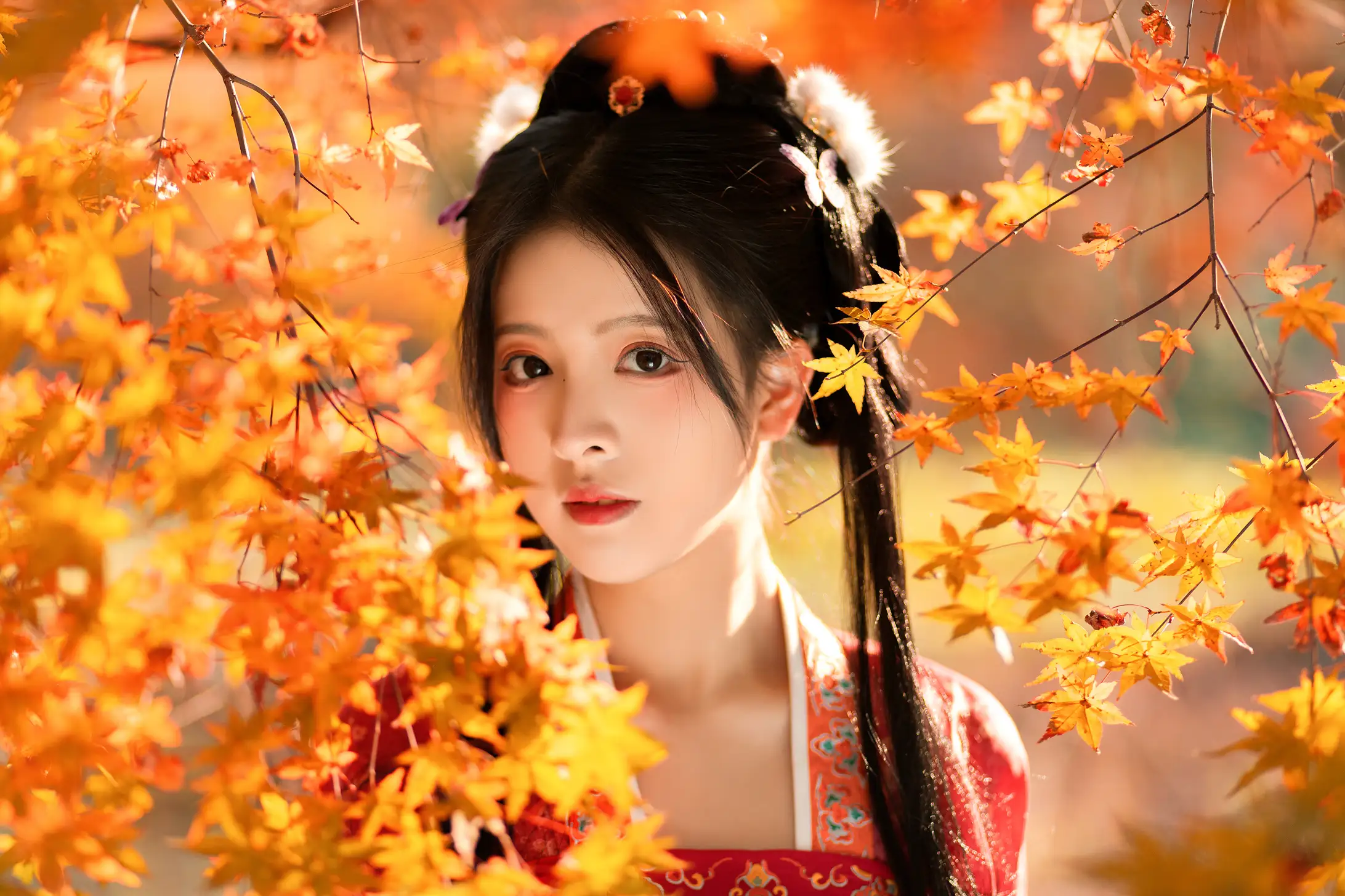 [艺图语] 2022.01.24 Vol.698 – 枫林晚 柚子#[32P]-9