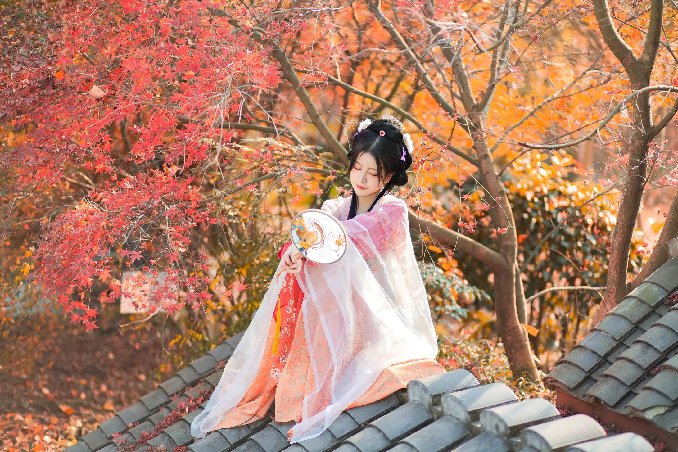 [艺图语] 2022.01.24 Vol.698 – 枫林晚 柚子#[32P]-1