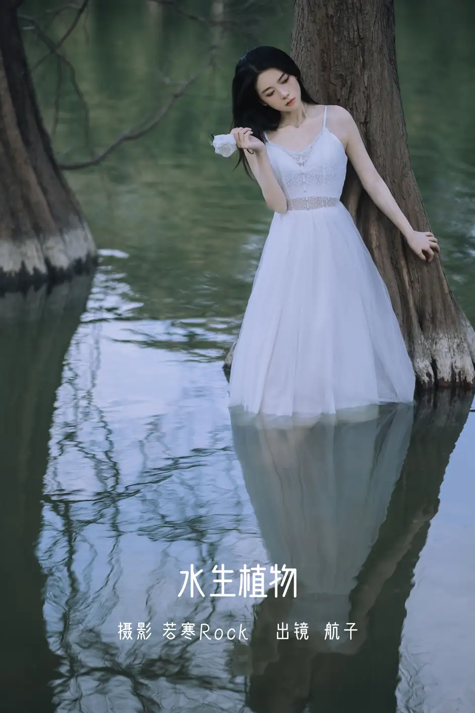 [艺图语] 2022.07.11 Vol.1447 – 水生植物 航子就是航子呀#[24P]-1