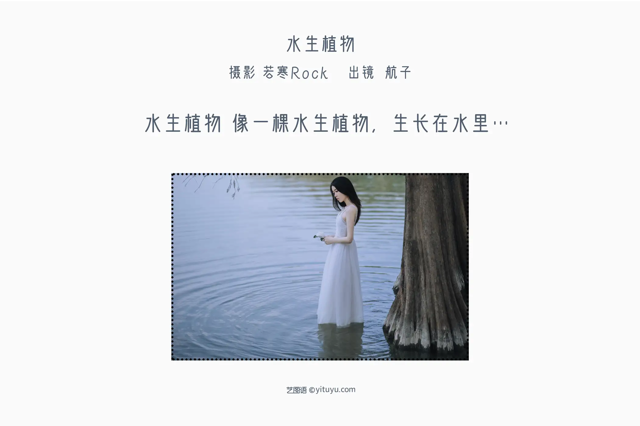 [艺图语] 2022.07.11 Vol.1447 – 水生植物 航子就是航子呀#[24P]-2