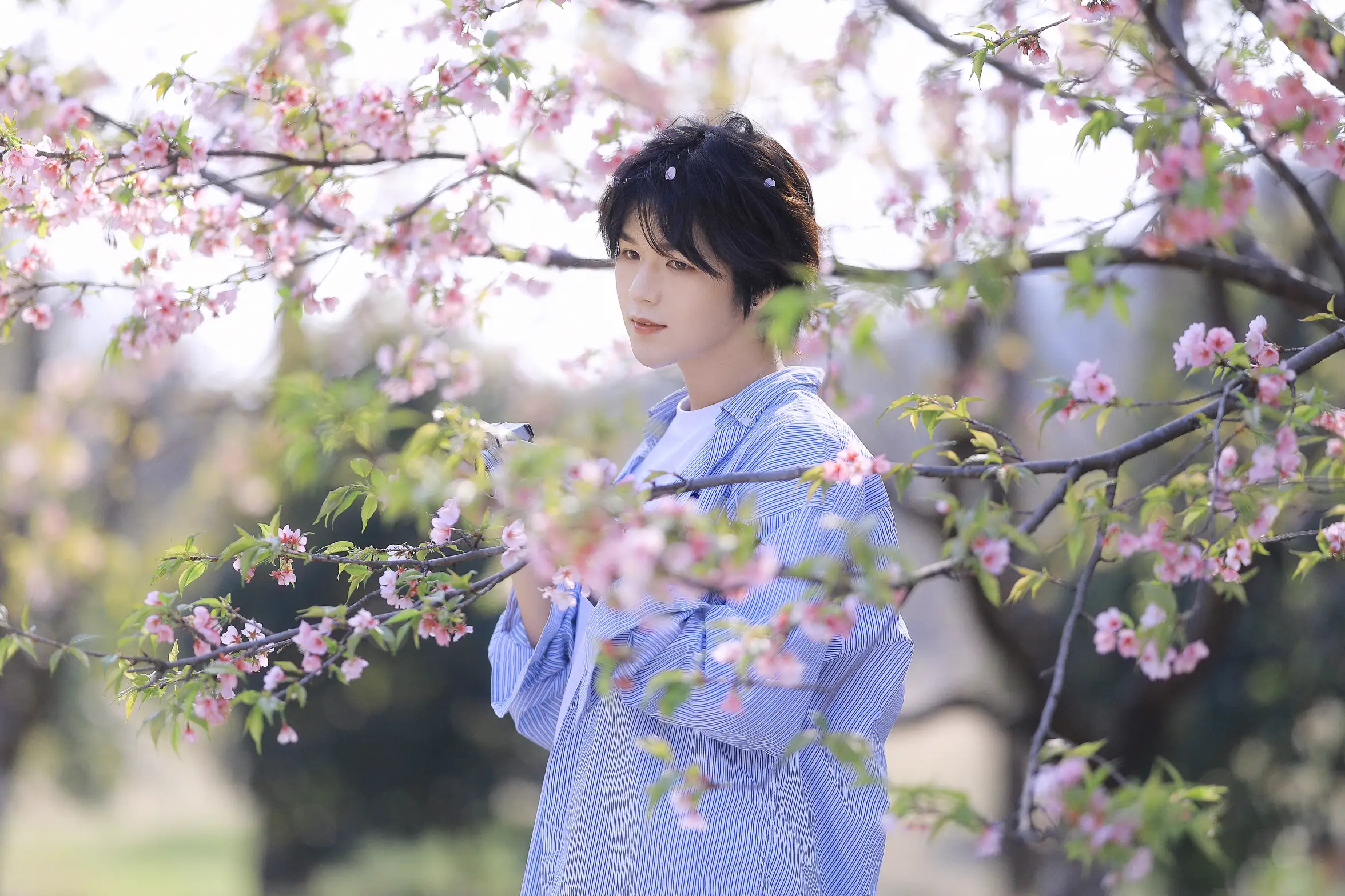 [艺图语] 2022.05.29 Vol.1025 – 樱花少年 李宇轩Yashon#[23P]-3