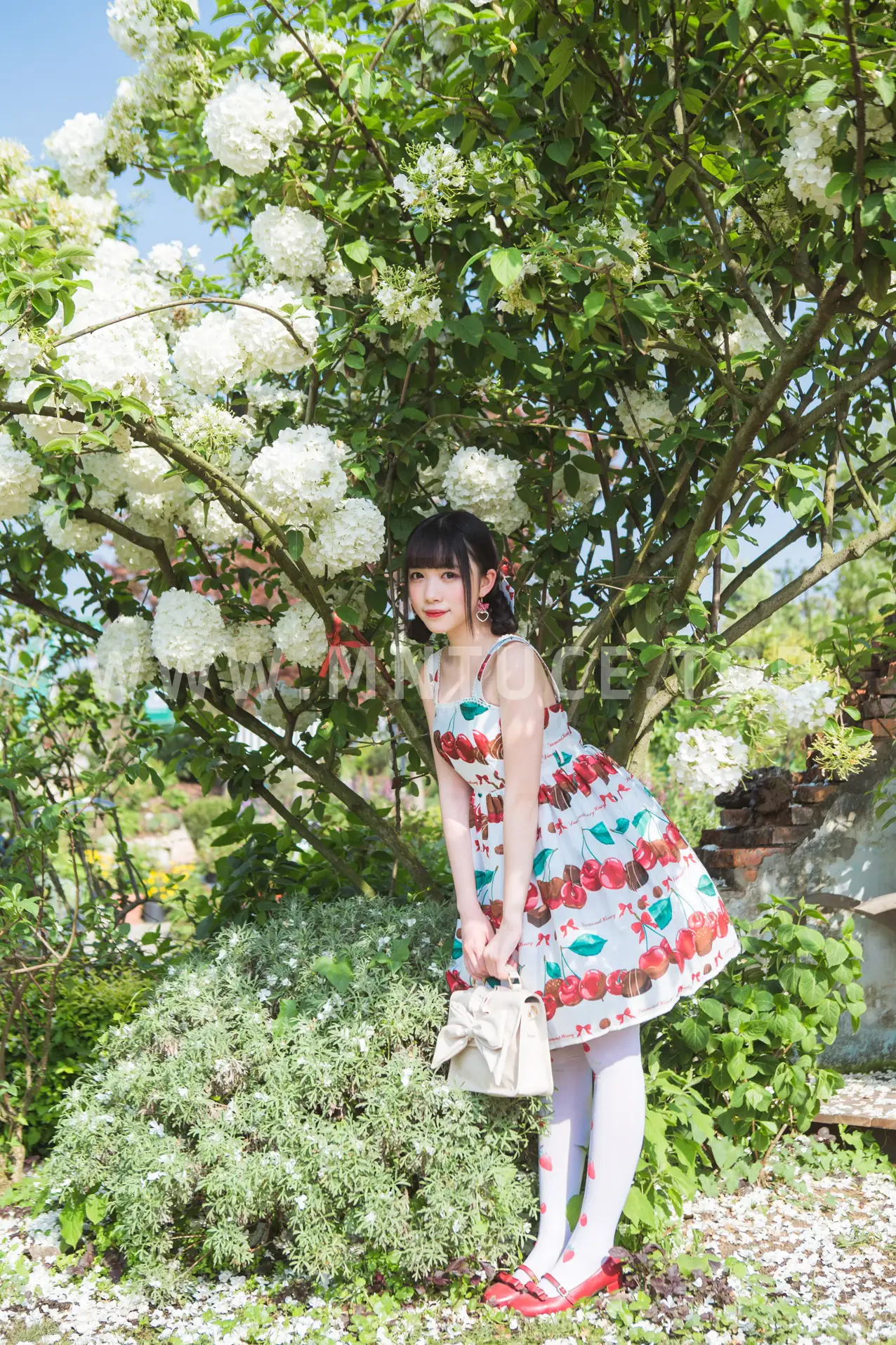 [艺图语] 2022.05.20 Vol.0938 – 绣球花 小风#[43P]-4