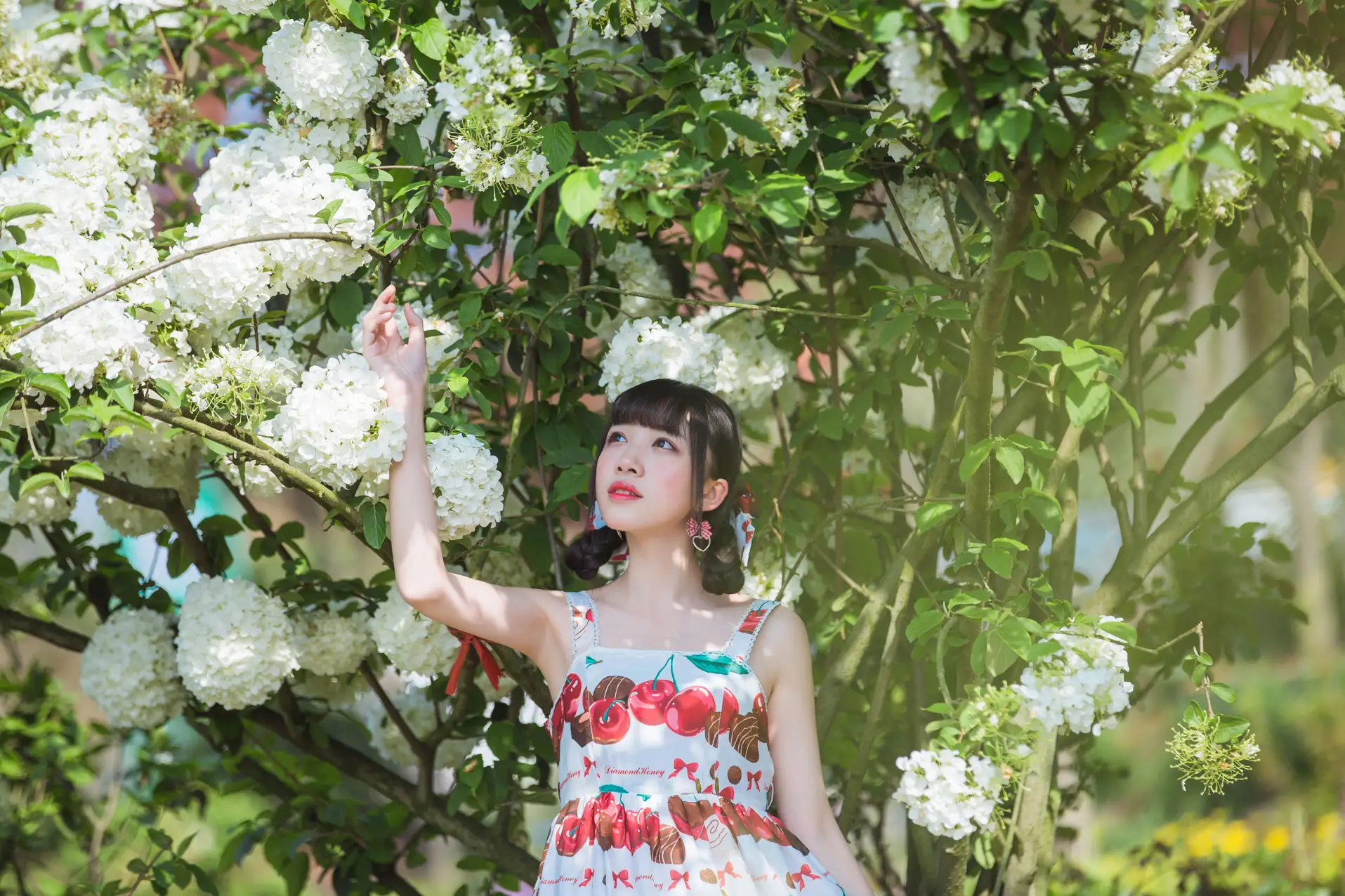[艺图语] 2022.05.20 Vol.0938 – 绣球花 小风#[43P]-7