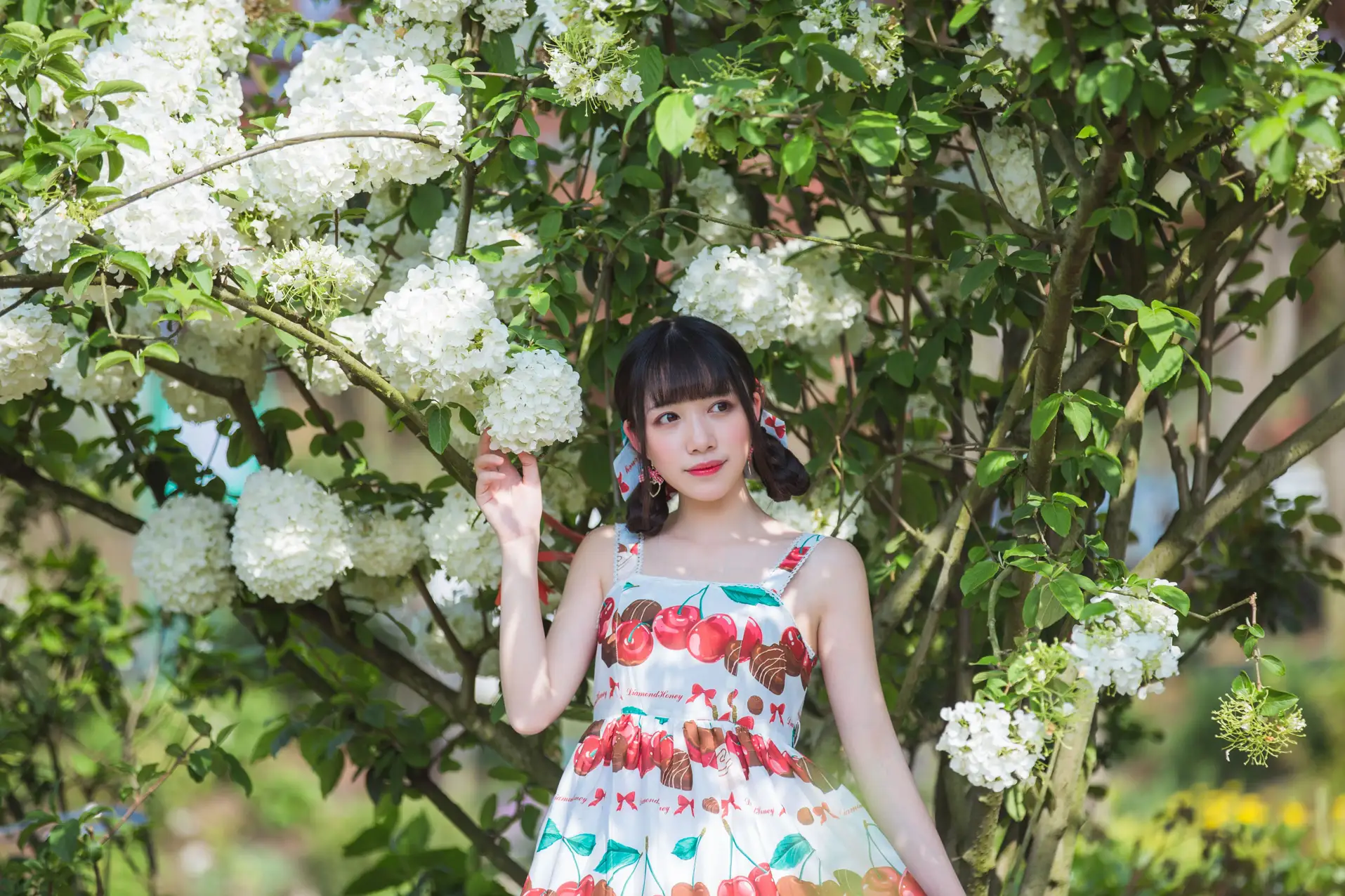[艺图语] 2022.05.20 Vol.0938 – 绣球花 小风#[43P]-8
