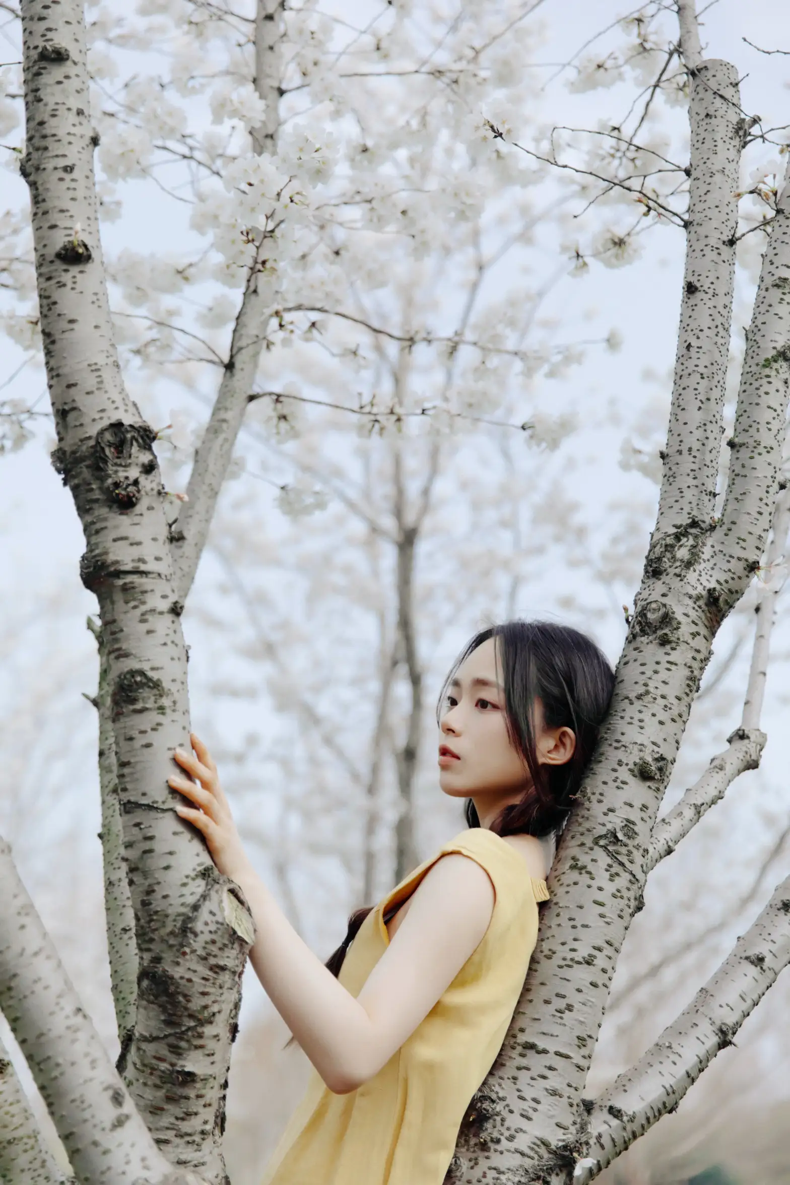 [艺图语] 2022.05.29 Vol.1026 – 遇见初樱 九麻MAA#[27P]-8