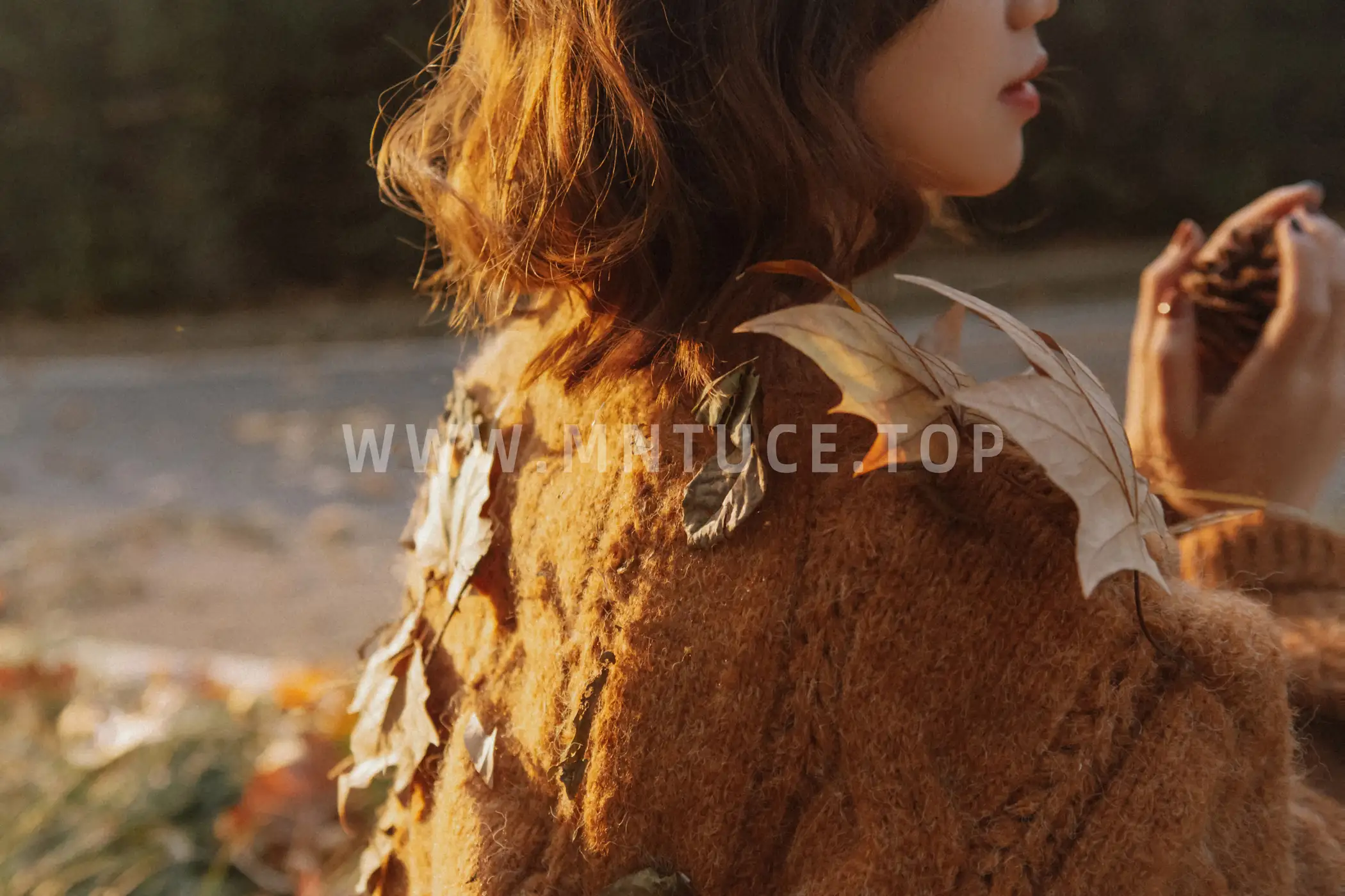 [艺图语] 2020.12.14 Vol.006 – 秋意浓 Taltooy#[30P]-8