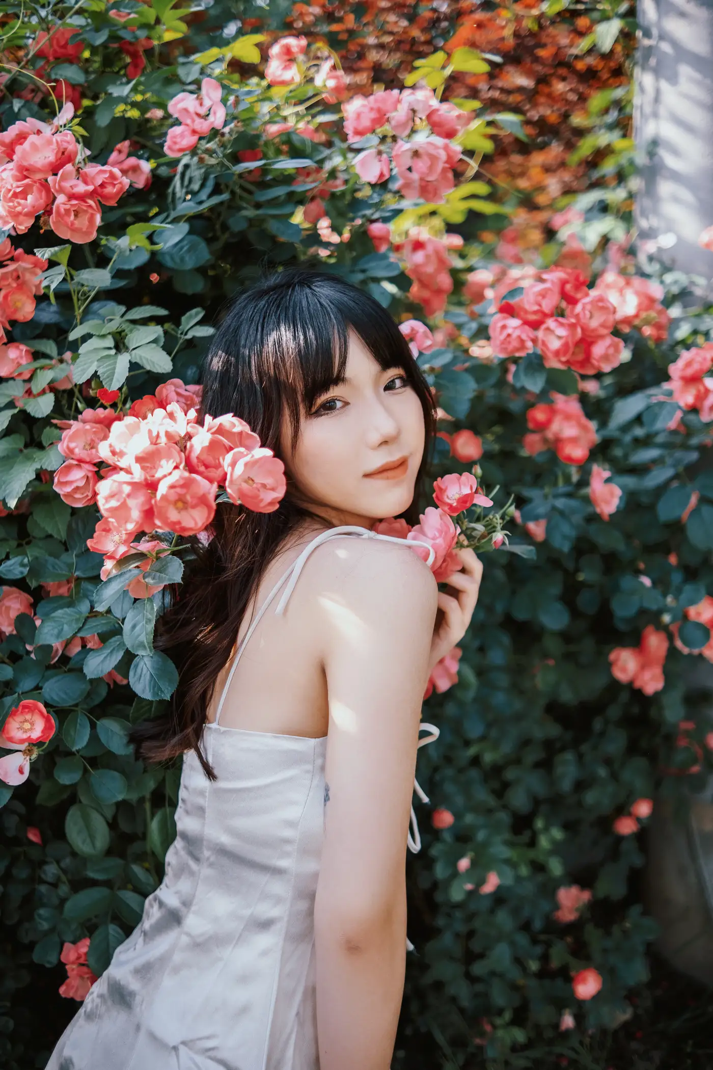 [艺图语] 2022.06.10 Vol.1137 – 蔷薇花下 依依#[25P]-1