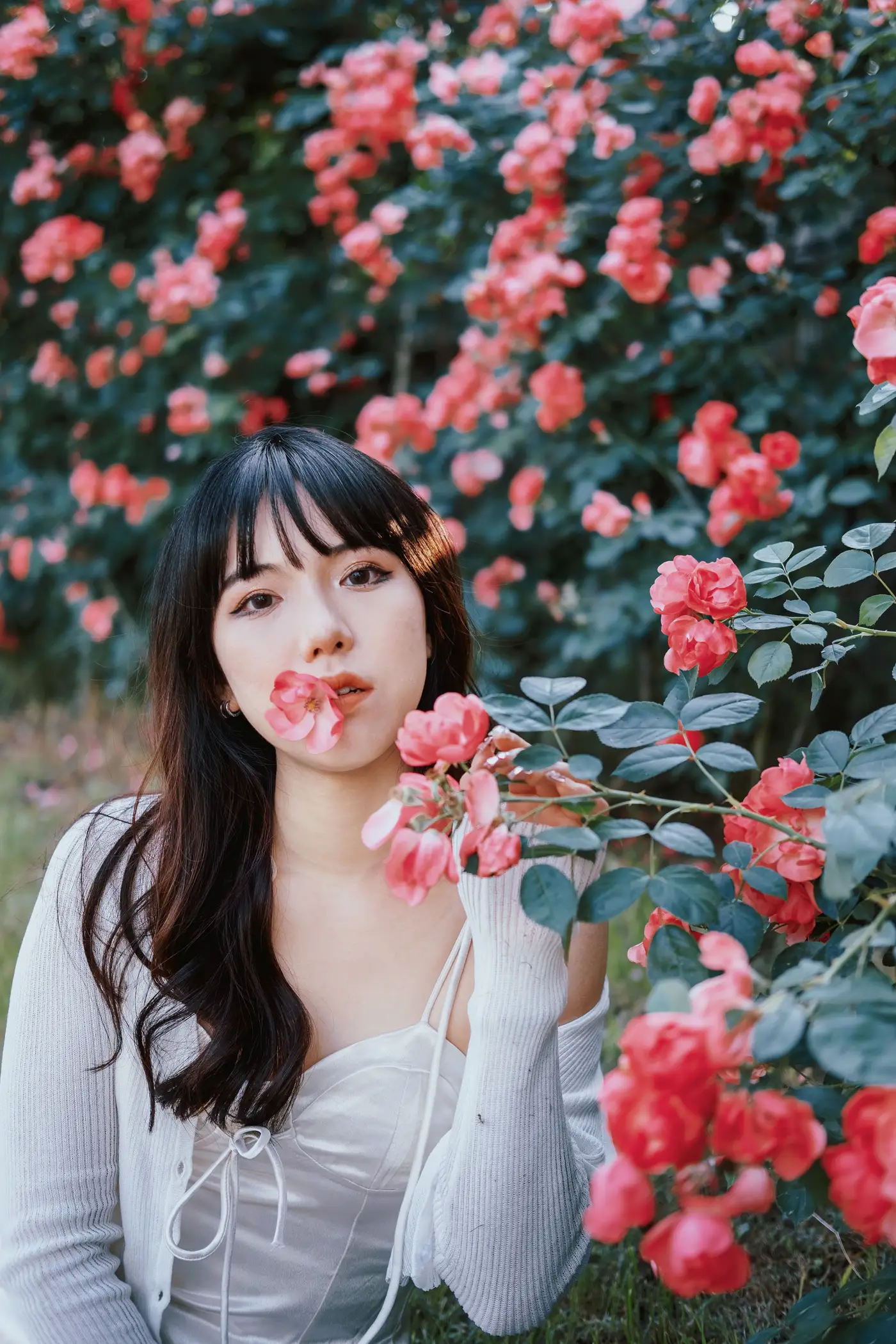 [艺图语] 2022.06.10 Vol.1137 – 蔷薇花下 依依#[25P]-2