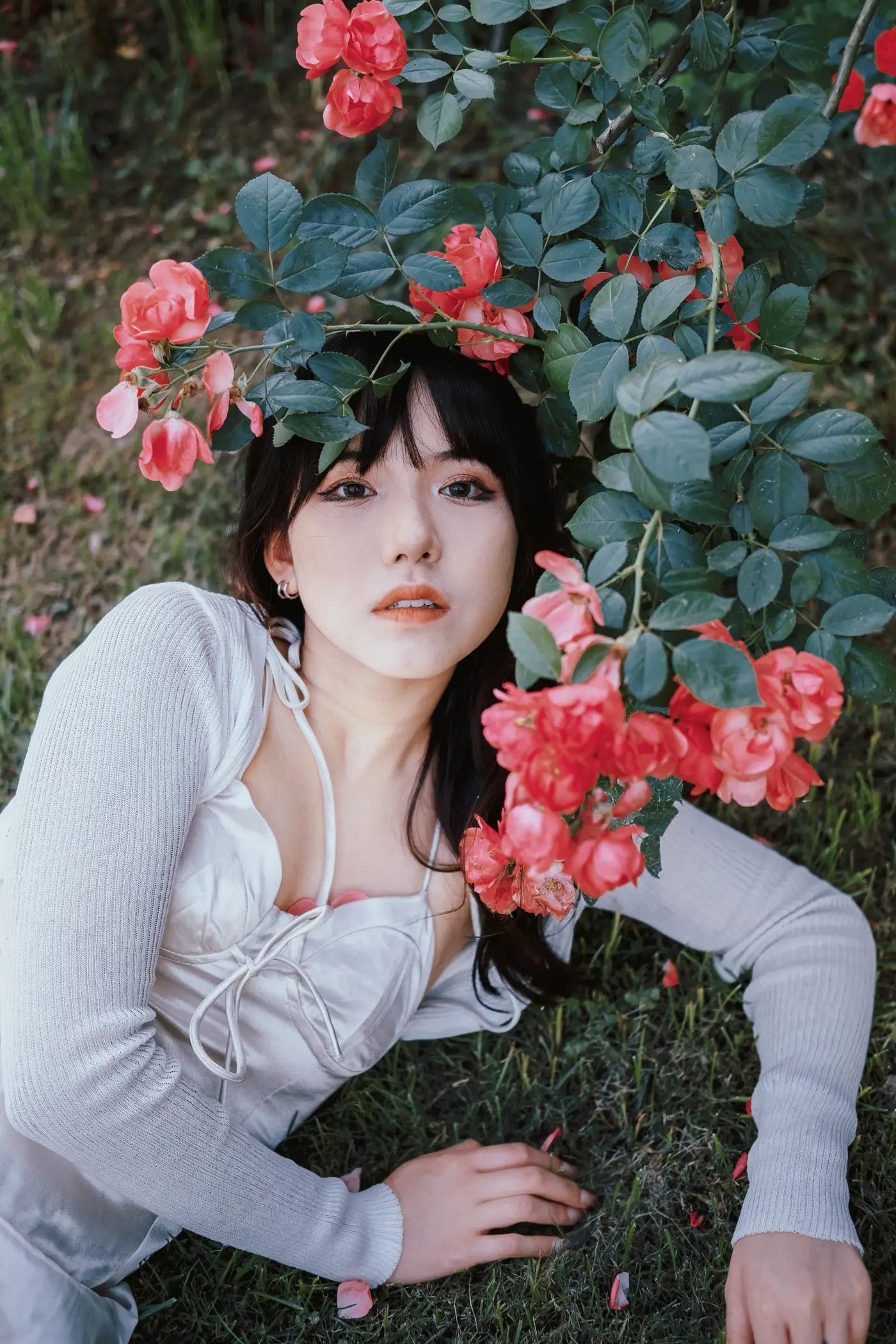 [艺图语] 2022.06.10 Vol.1137 – 蔷薇花下 依依#[25P]-7