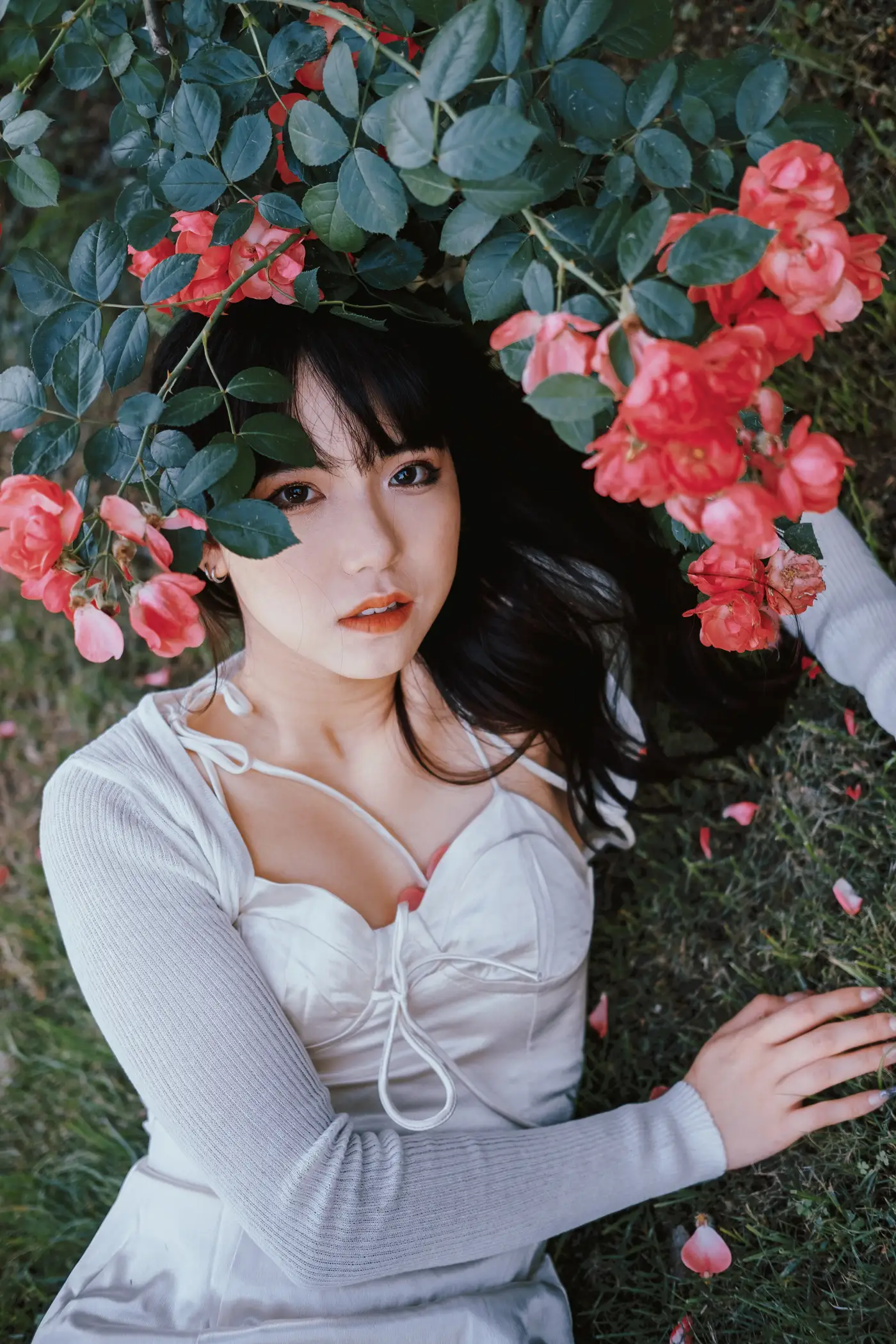 [艺图语] 2022.06.10 Vol.1137 – 蔷薇花下 依依#[25P]-3
