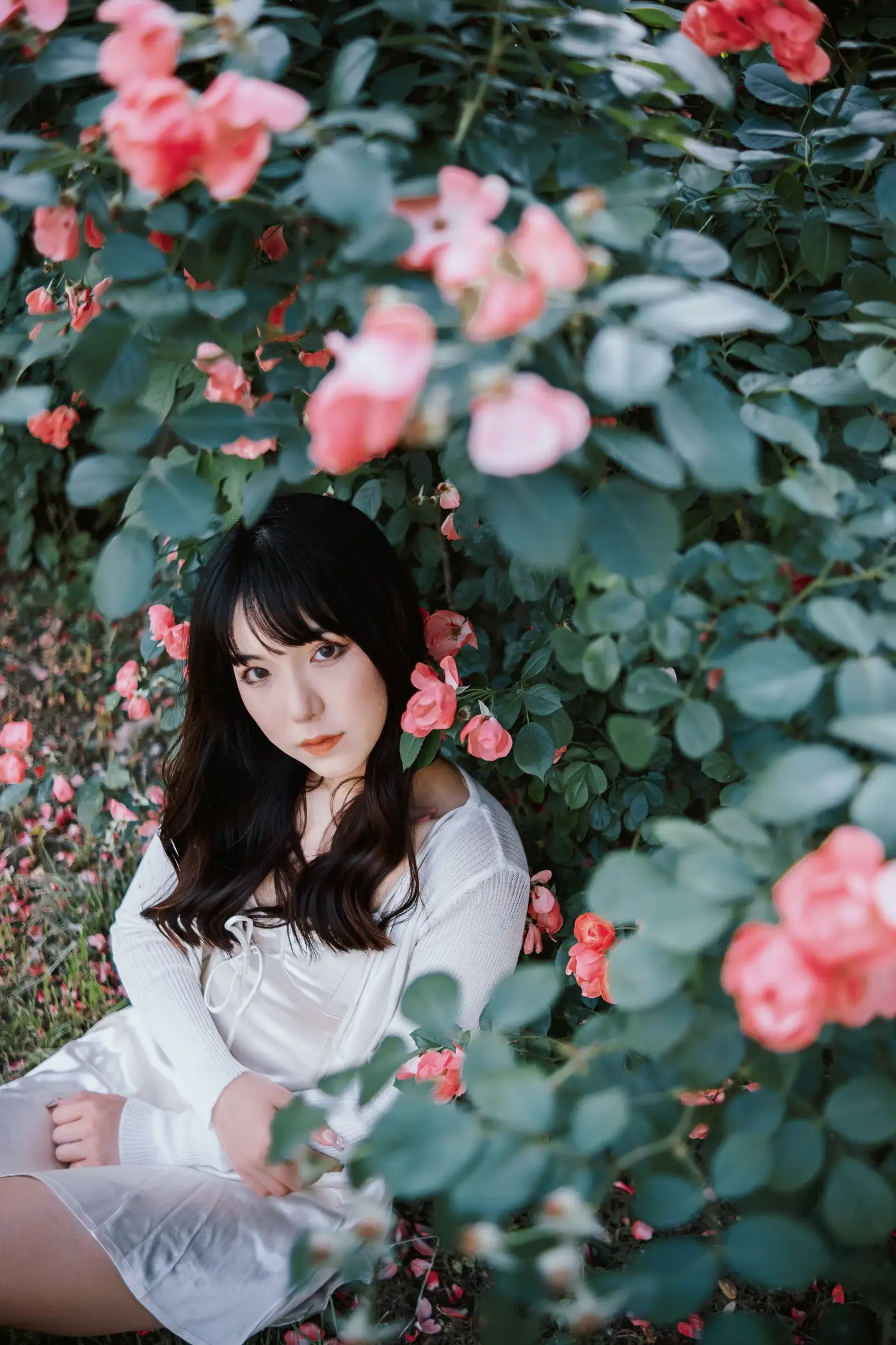 [艺图语] 2022.06.10 Vol.1137 – 蔷薇花下 依依#[25P]-6