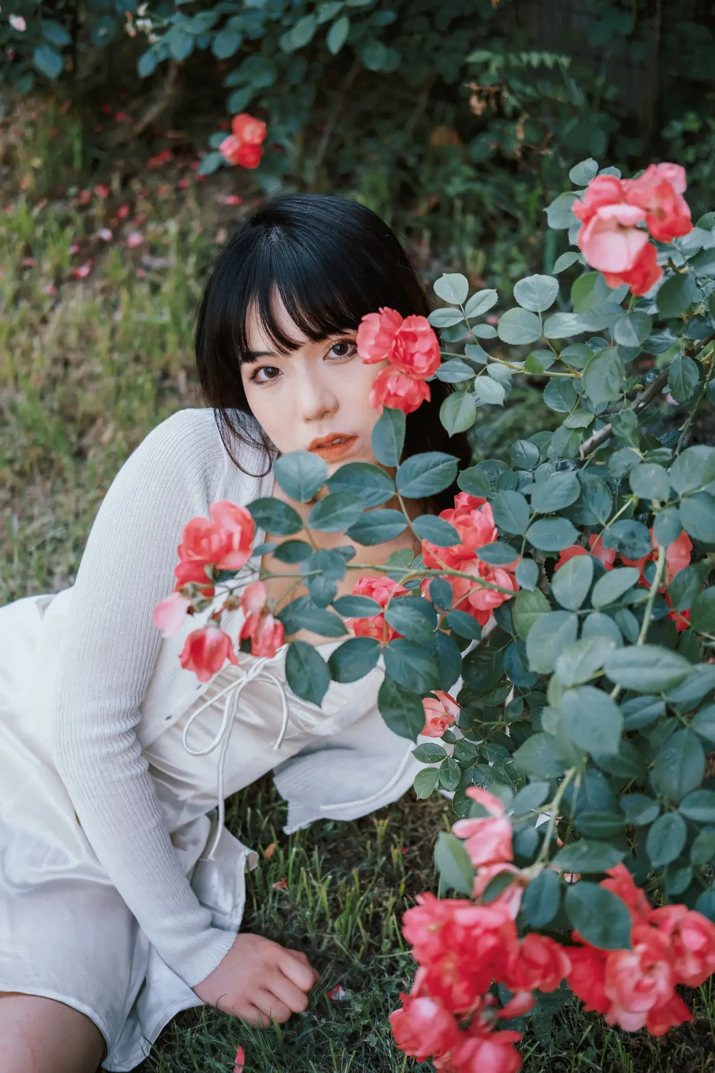 [艺图语] 2022.06.10 Vol.1137 – 蔷薇花下 依依#[25P]-9