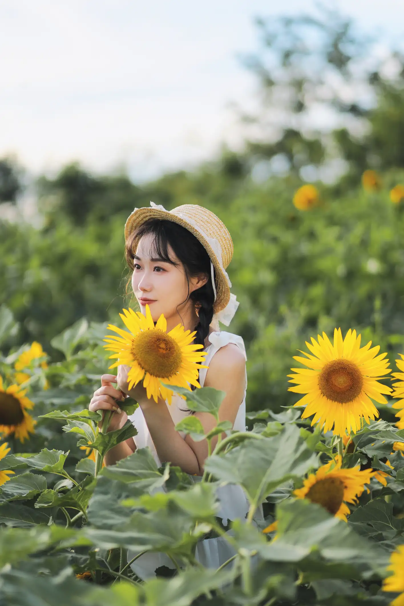 [艺图语] 2022.11.25 Vol.2528 向阳之花#[36P]-4