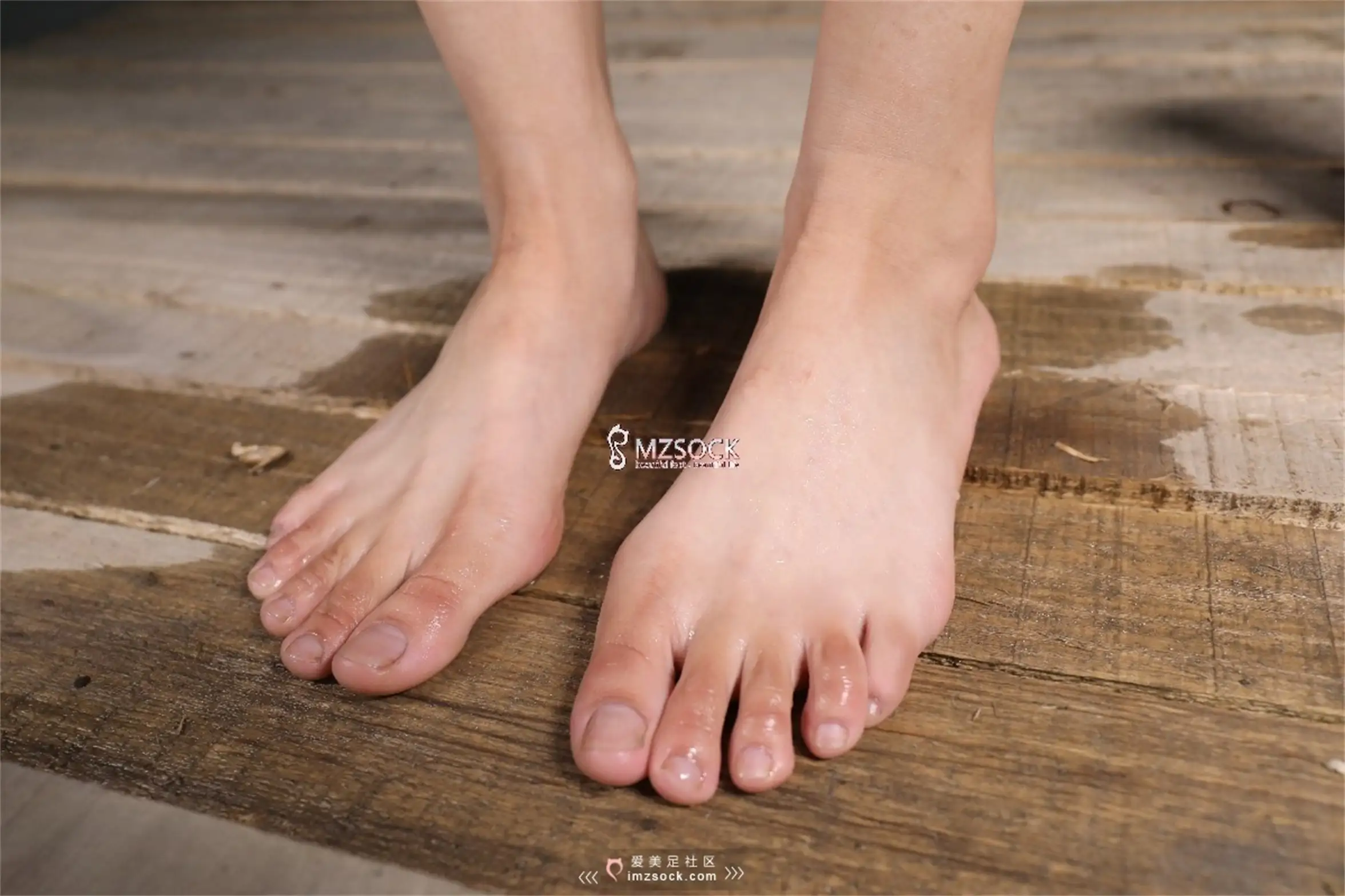 [Mzsock] Love Beauty Foot NO.066 Ding#[74P]-68