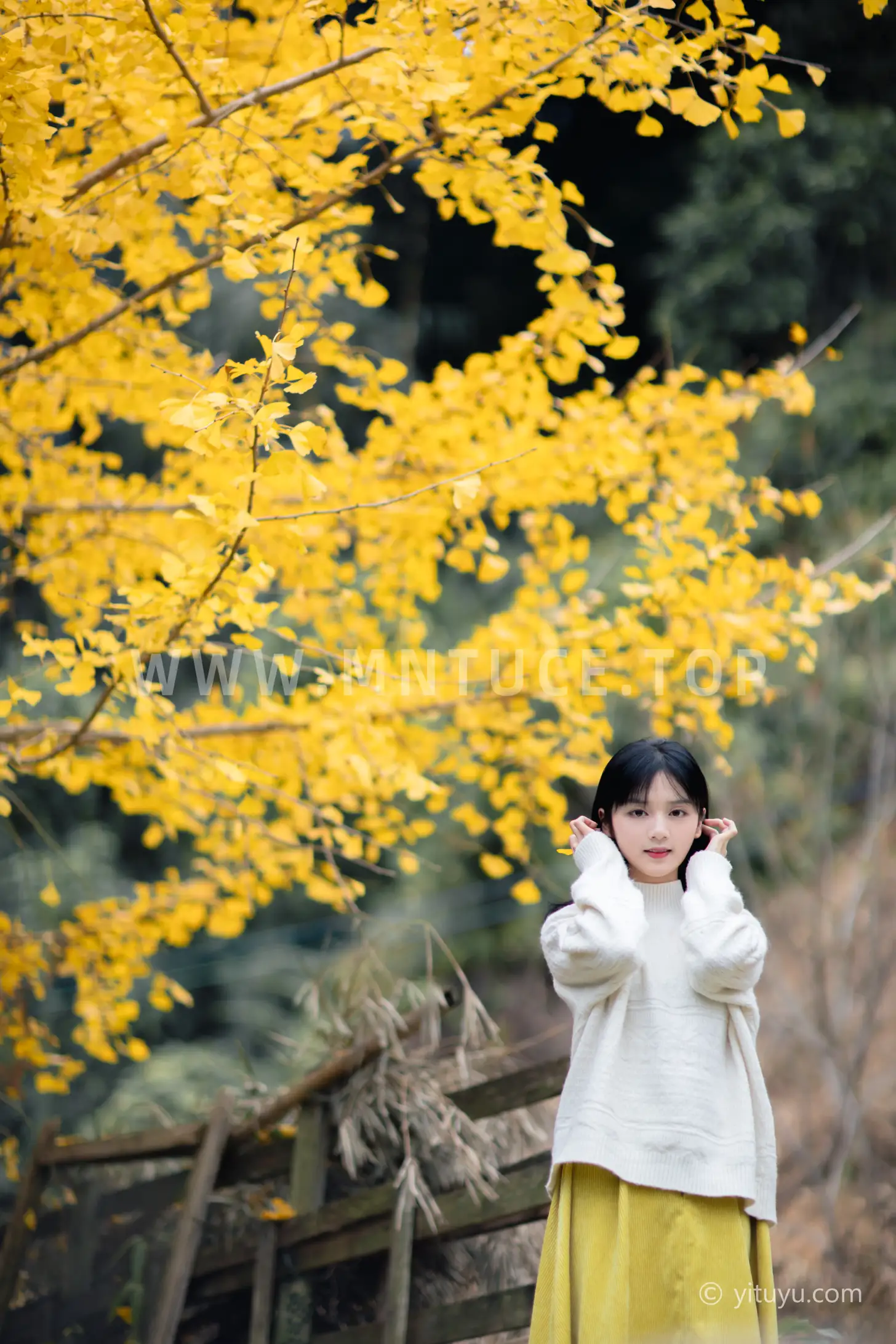 [YITUYU] 2021.08.14 Vol.131 – Ginkgo Love Yuwen#[39P]-8