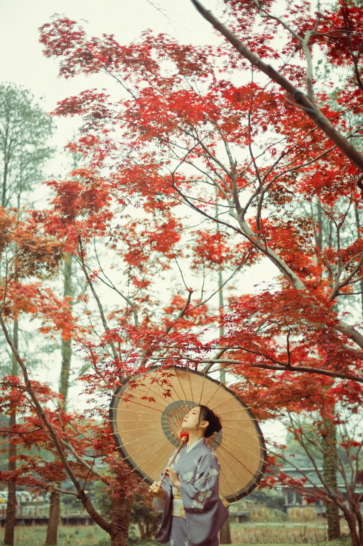 [YITUYU] 2021.09.02 Vol.219 – Deep in the Red Leaves No worries#[29P]-2